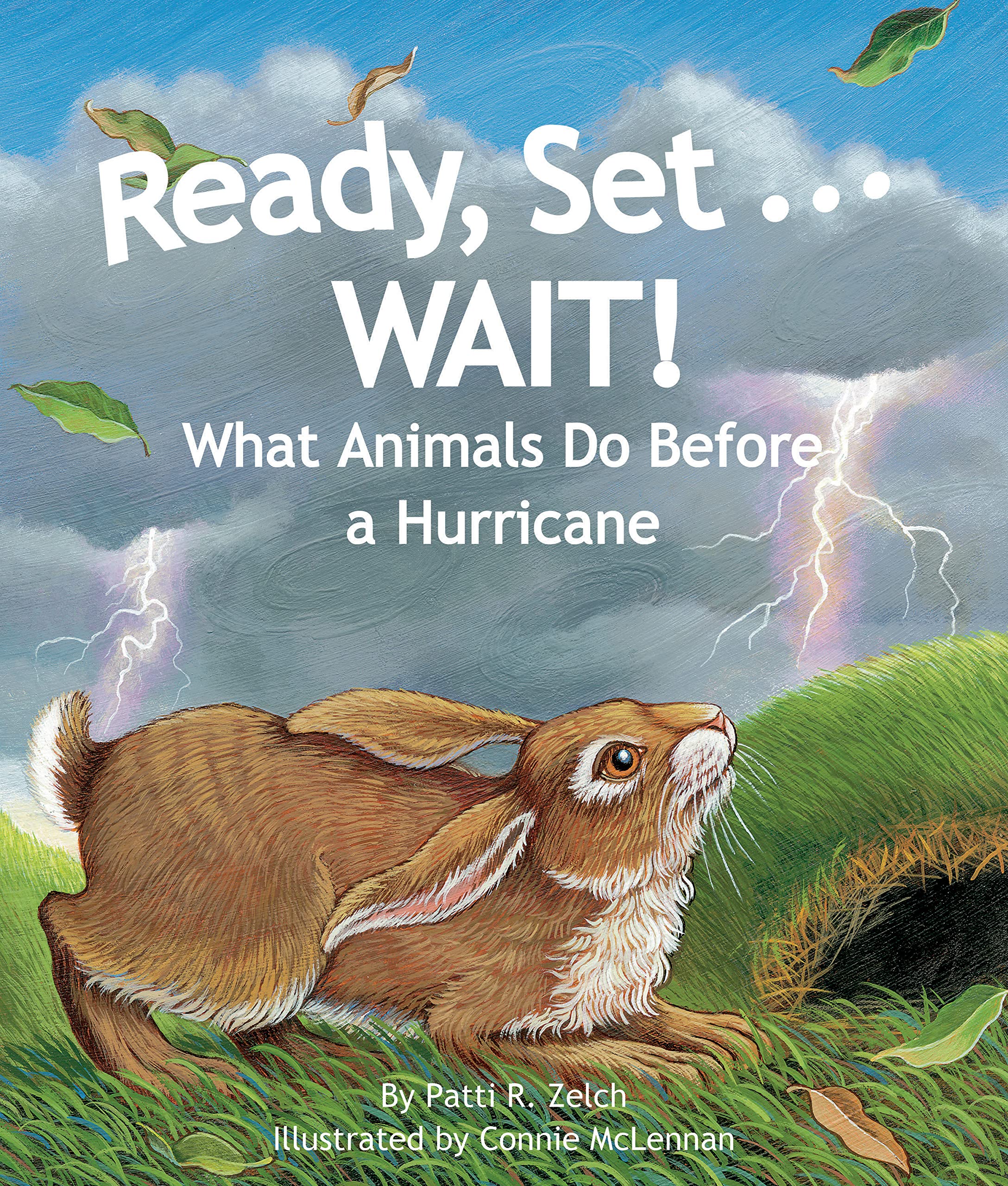 Ready, Set . . . WAIT!: What Animals Do Before a Hurricane (Arbordale Collection),Used