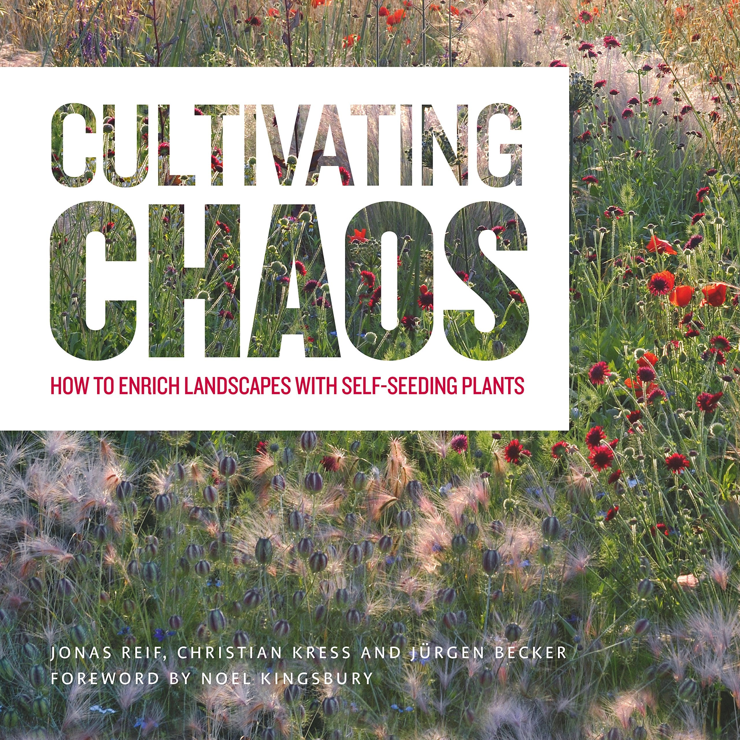 Cultivating Chaos: How To Enrich Landscapes With Selfseeding Plants