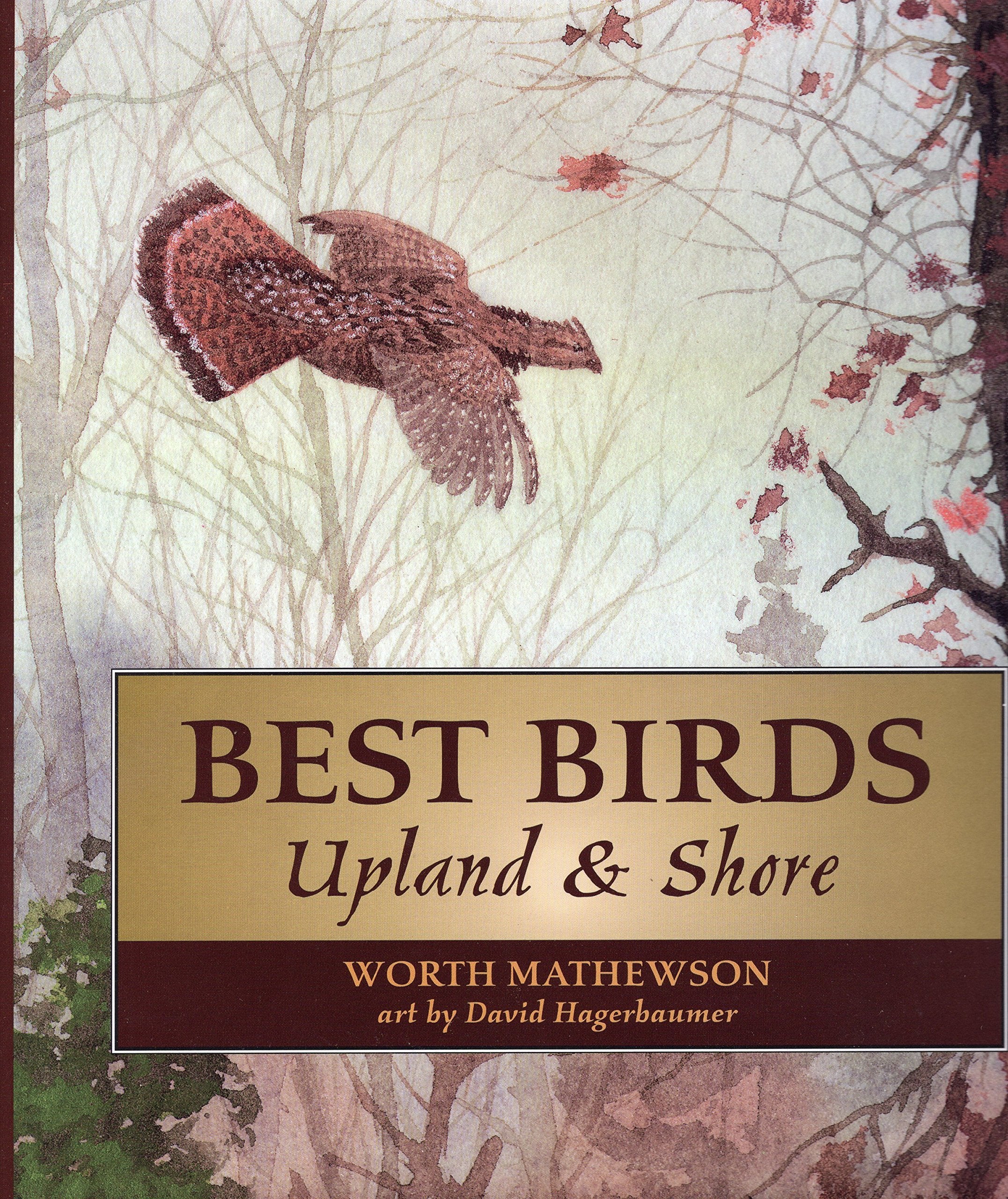 Best Birds Upland And Shore,Used