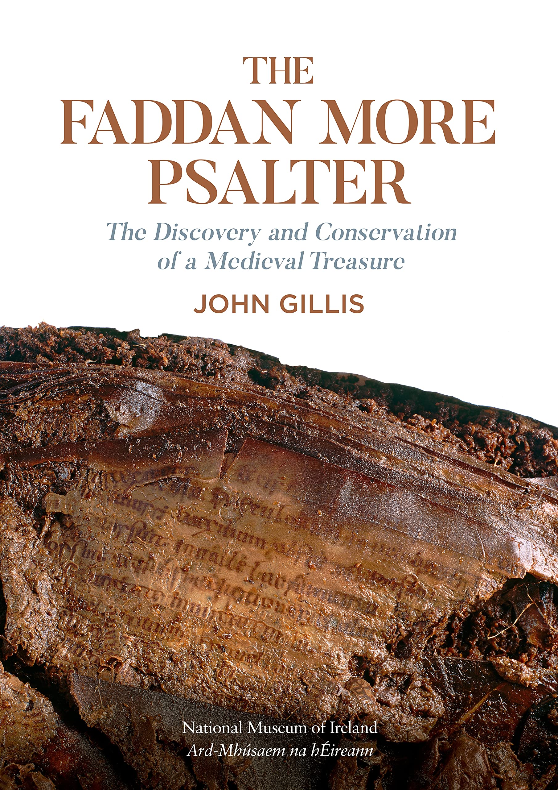 The Fadden More Psalter: The Discovery And Conservation Of A Medieval Treaure,New