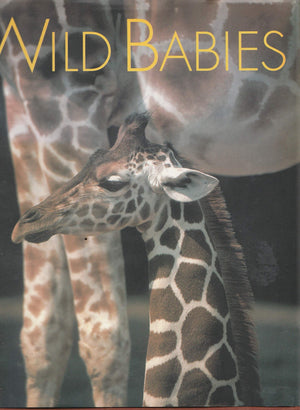 Wild Babies,Used
