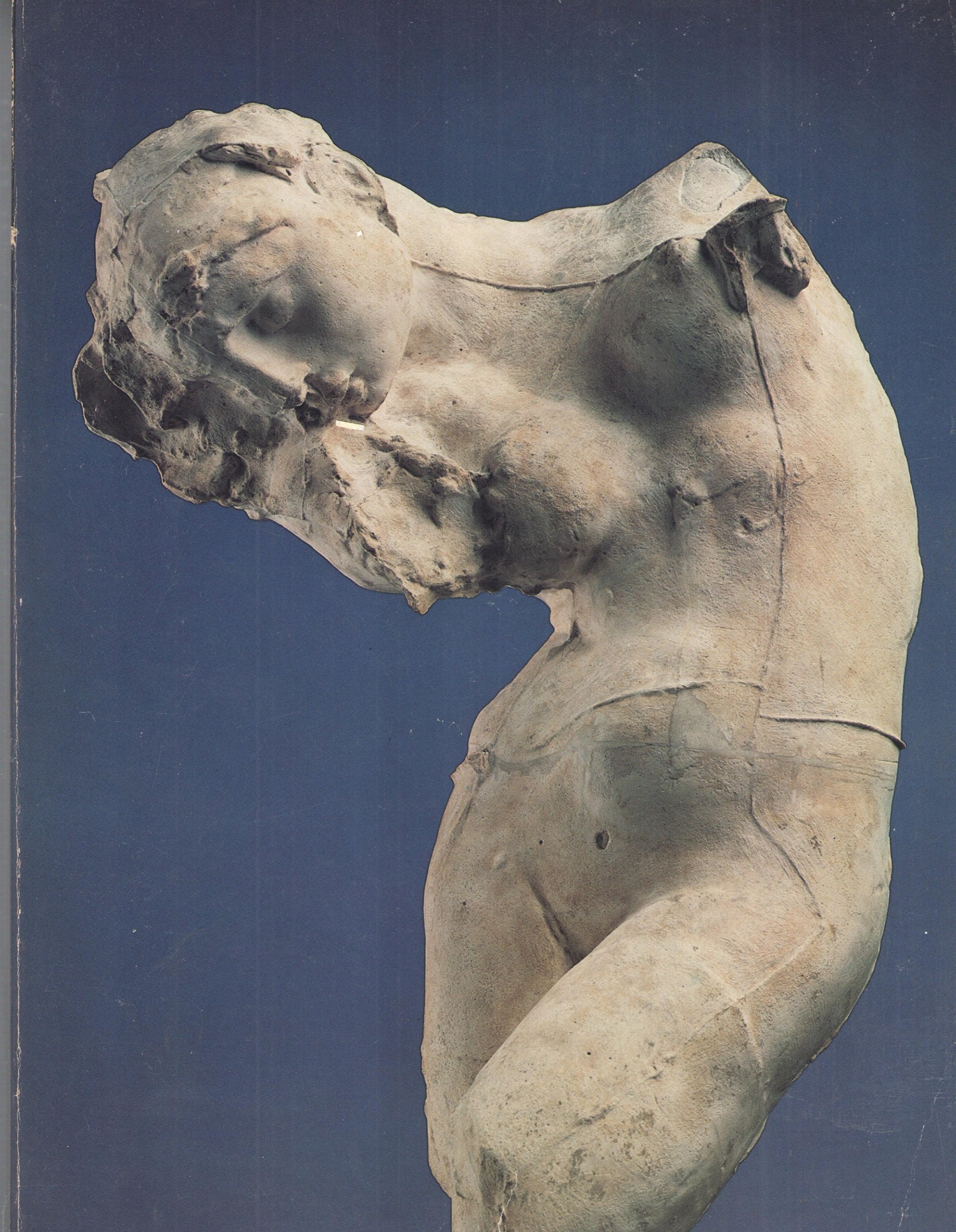 Rodin rediscovered,Used