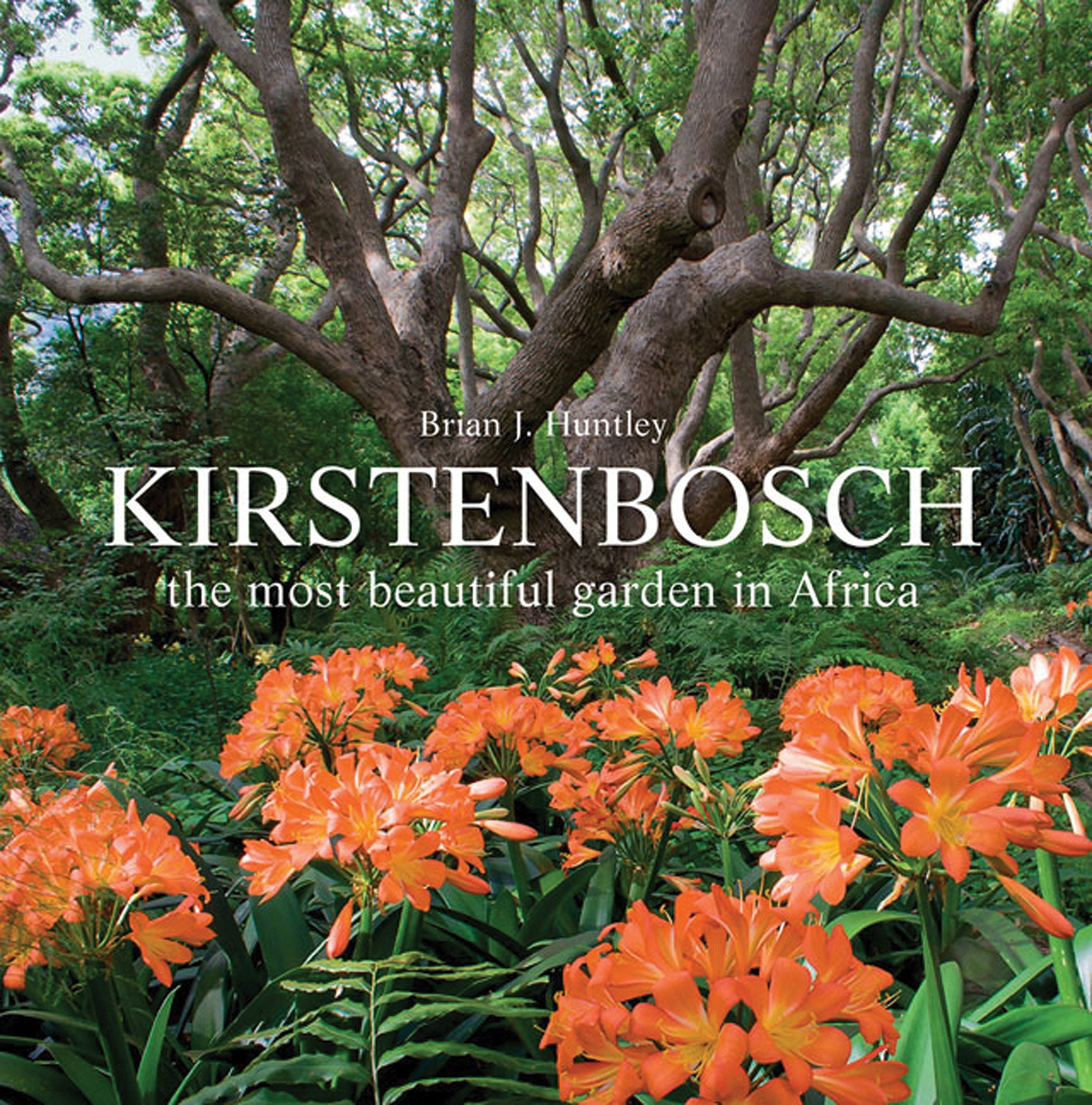 Kirstenbosch: The Most Beautiful Garden in Africa,Used