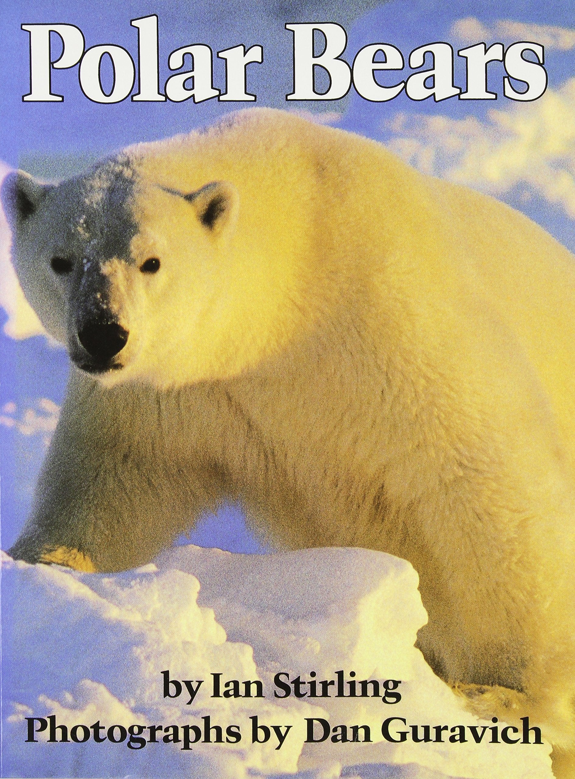 Polar Bears,New