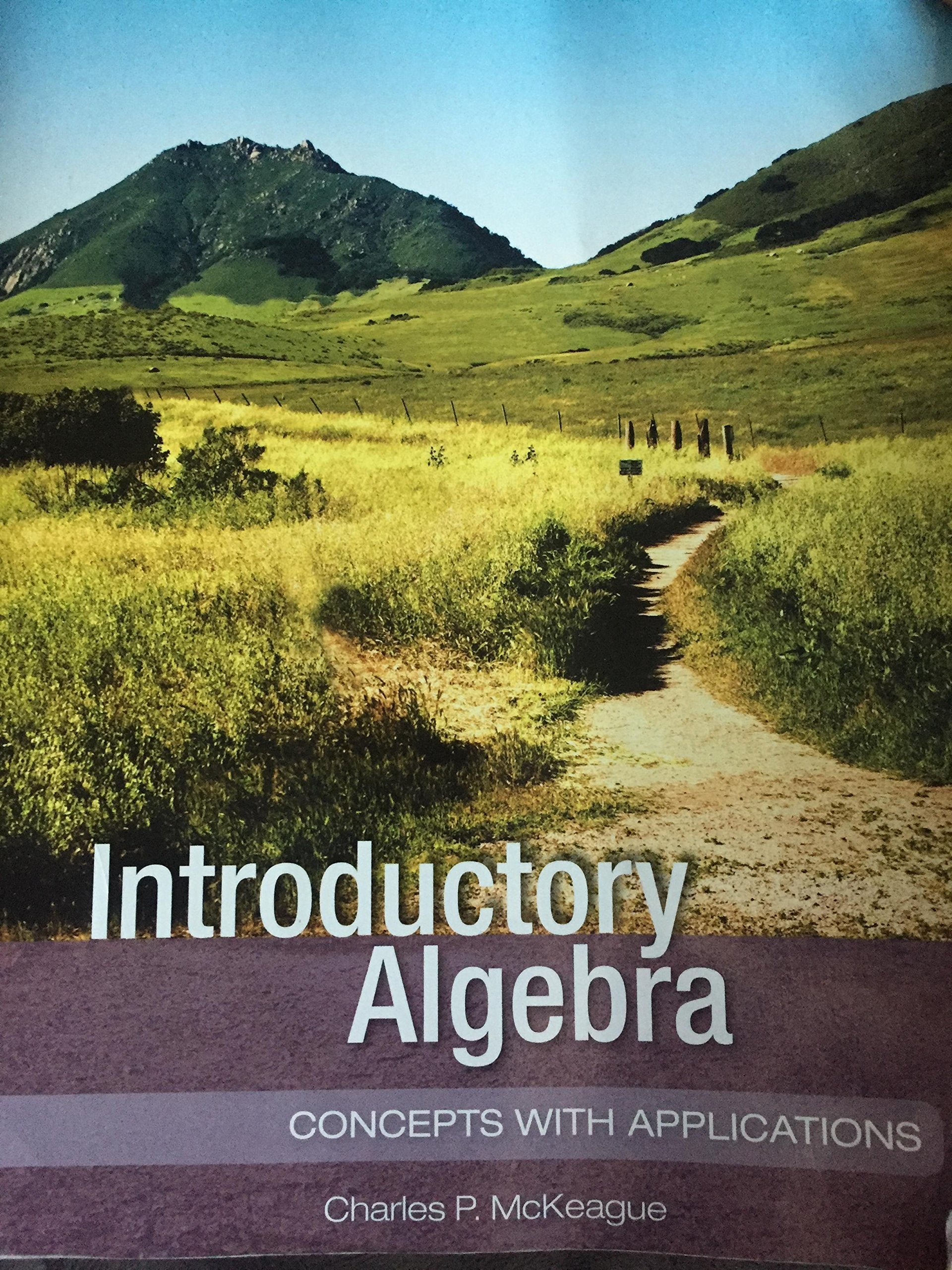 INTRODUCTORY ALGEBRA:CONCEPTS,New