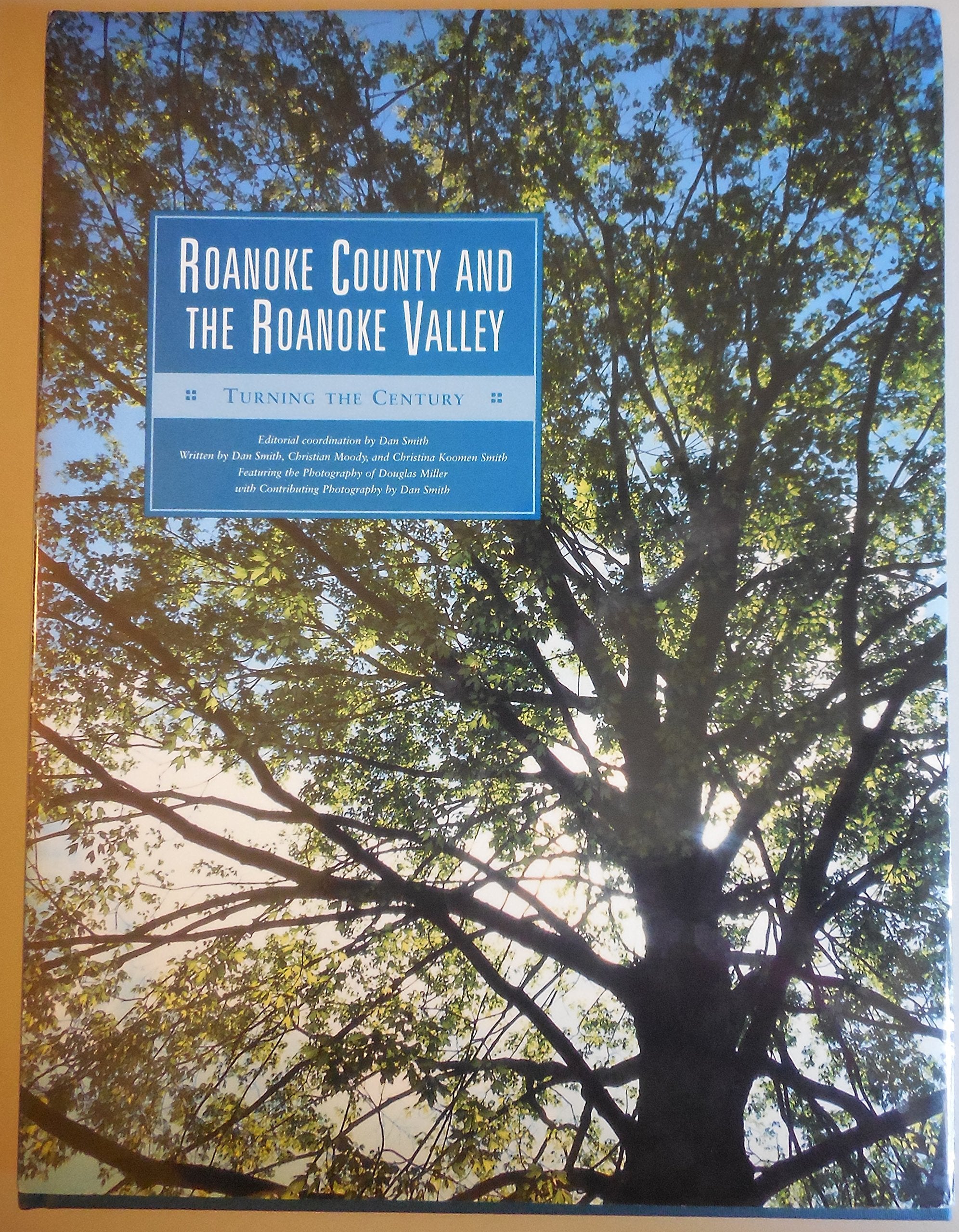 At the Turn: Roanoke Valley in the 21st Century,Used