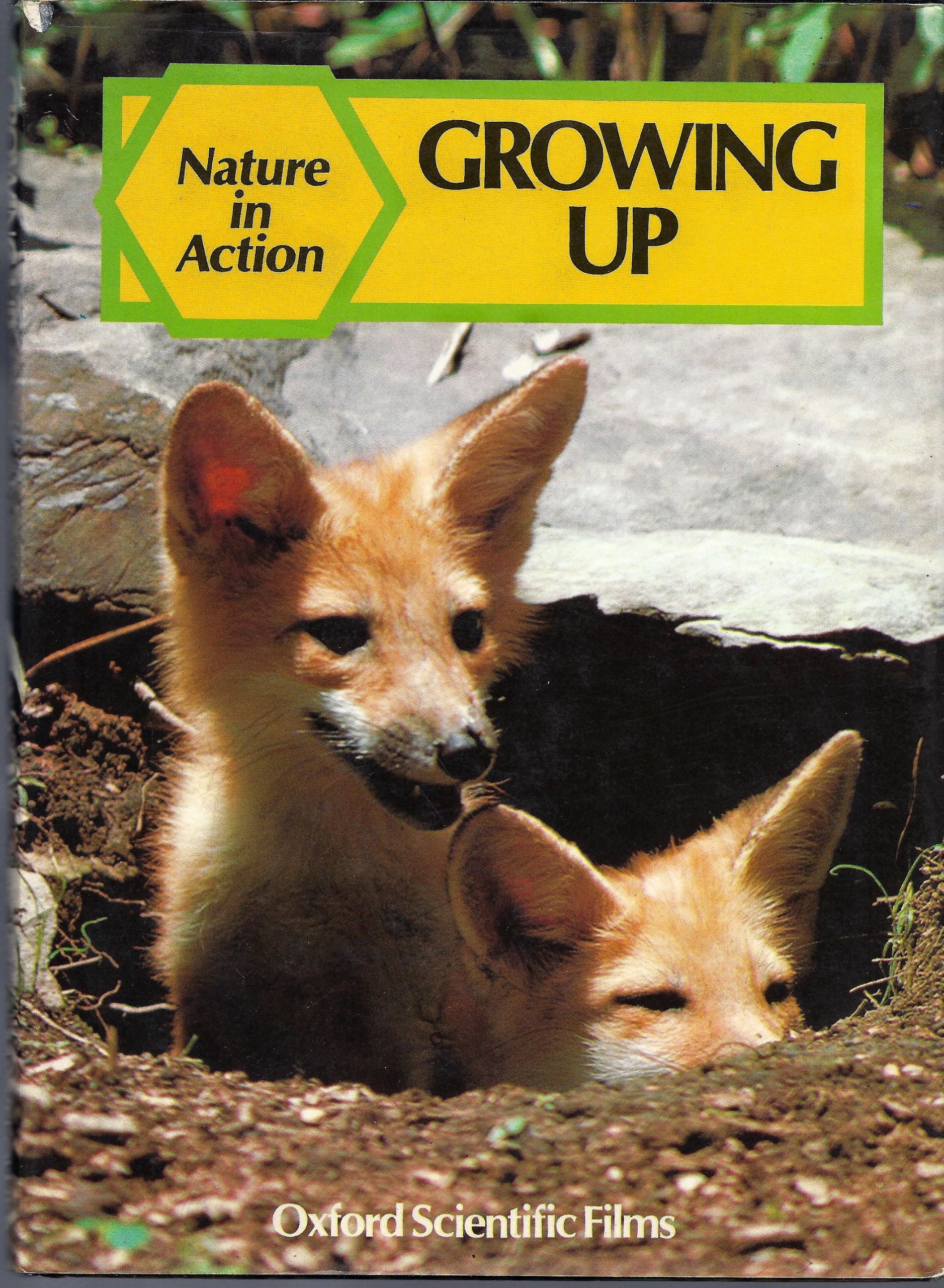 Growing up (Nature in action),Used