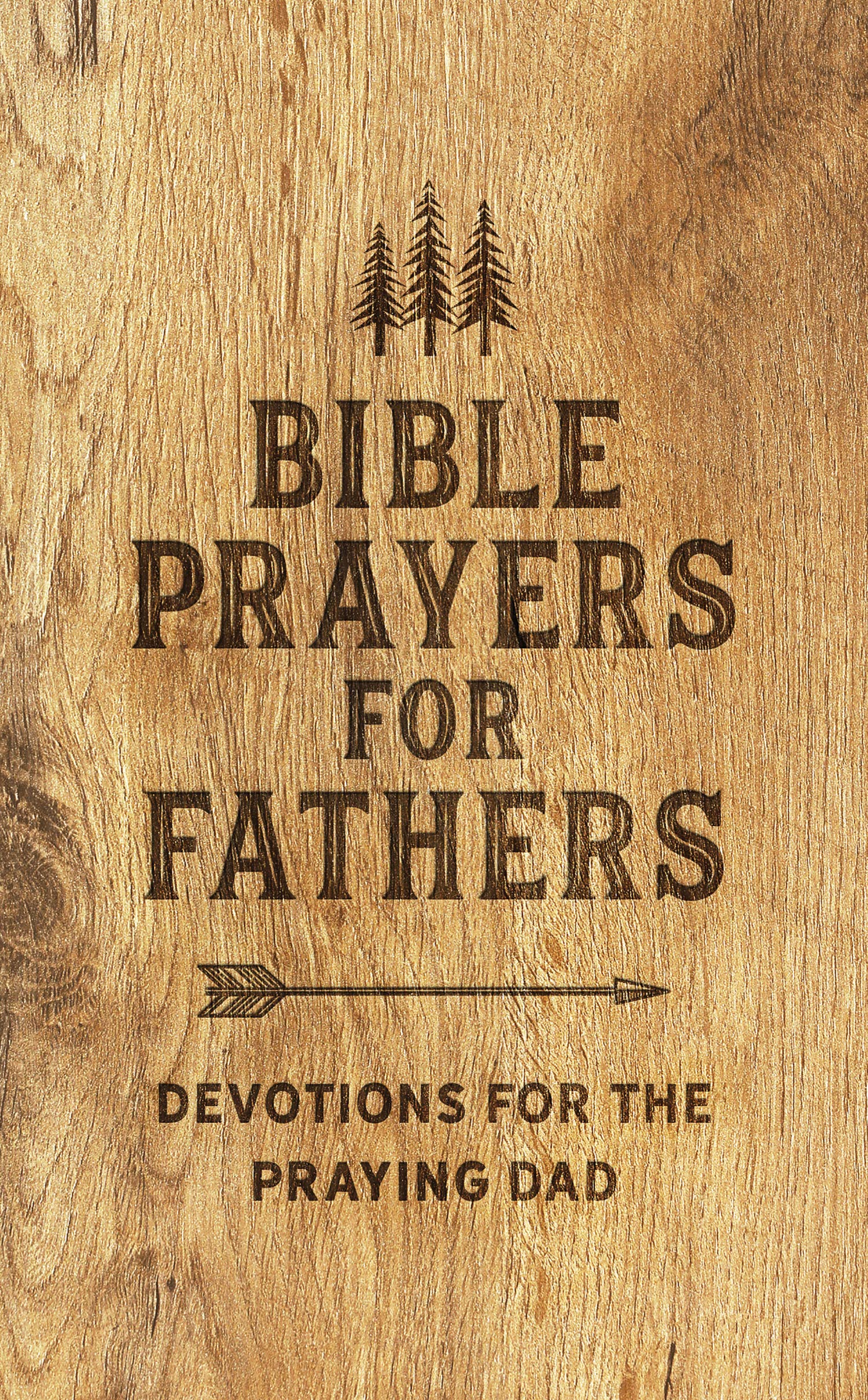 Bible Prayers for Fathers: Devotions for the Praying Dad,Used