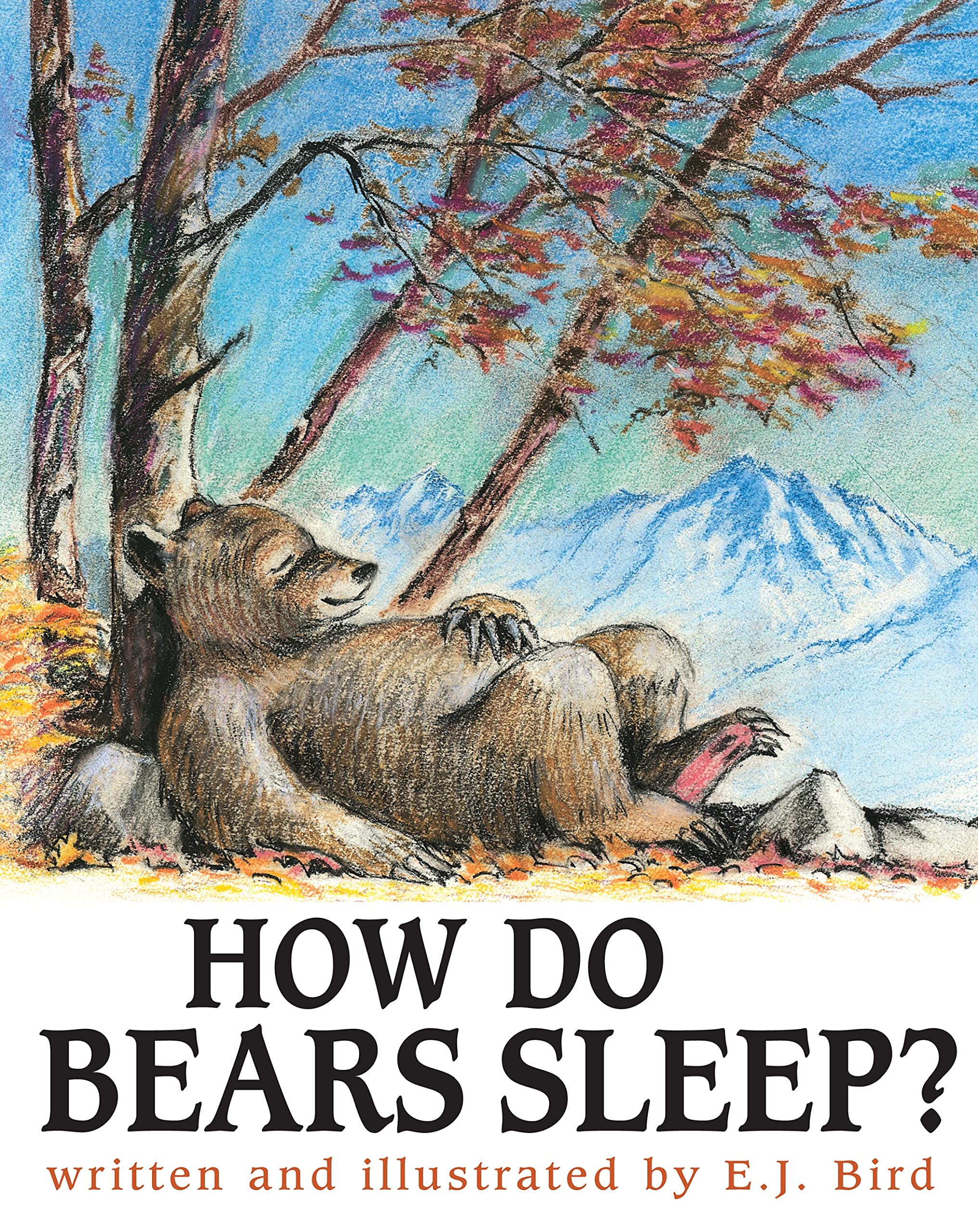How Do Bears Sleep?,Used
