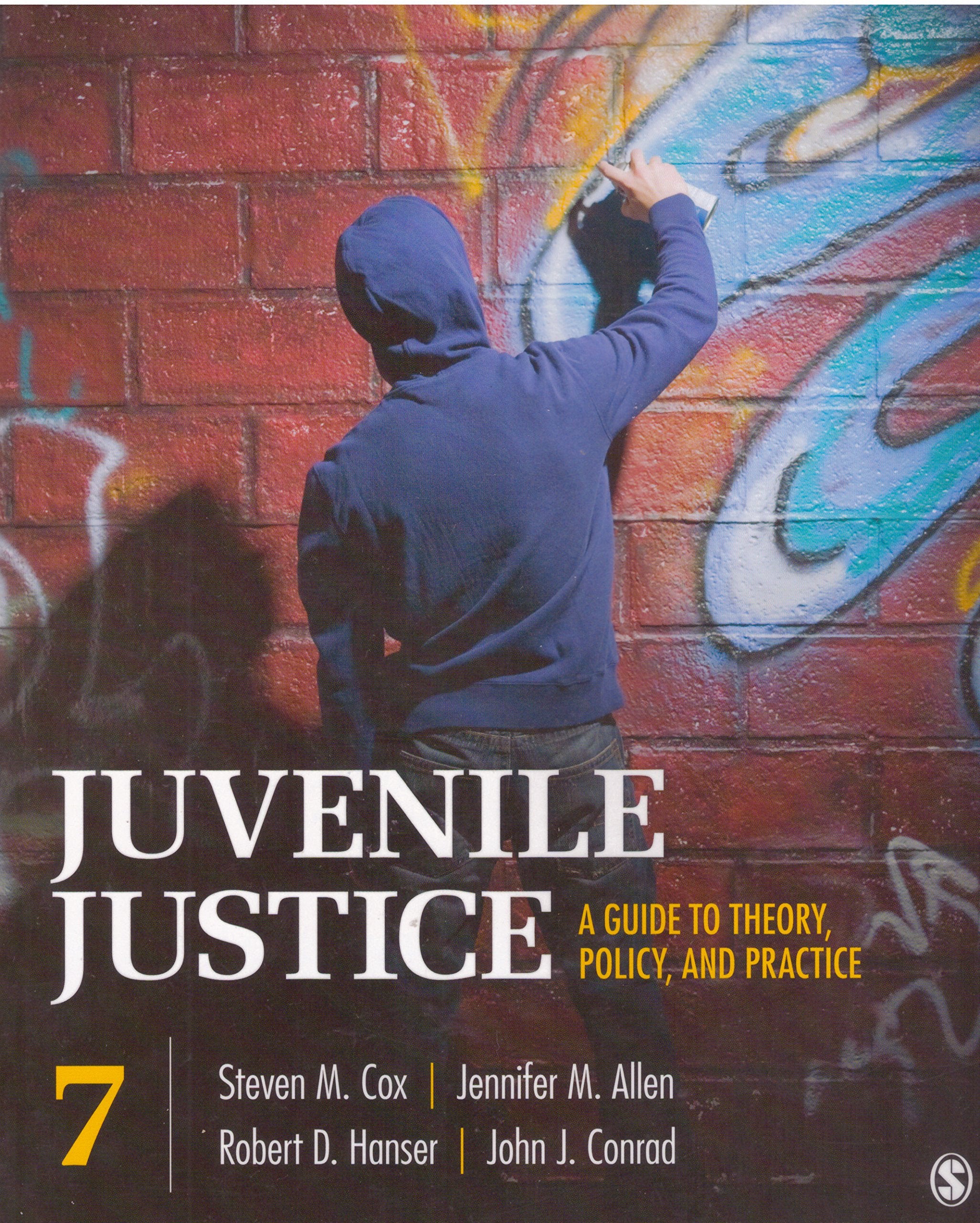 Juvenile Justice: A Guide to Theory, Policy, and Practice,Used