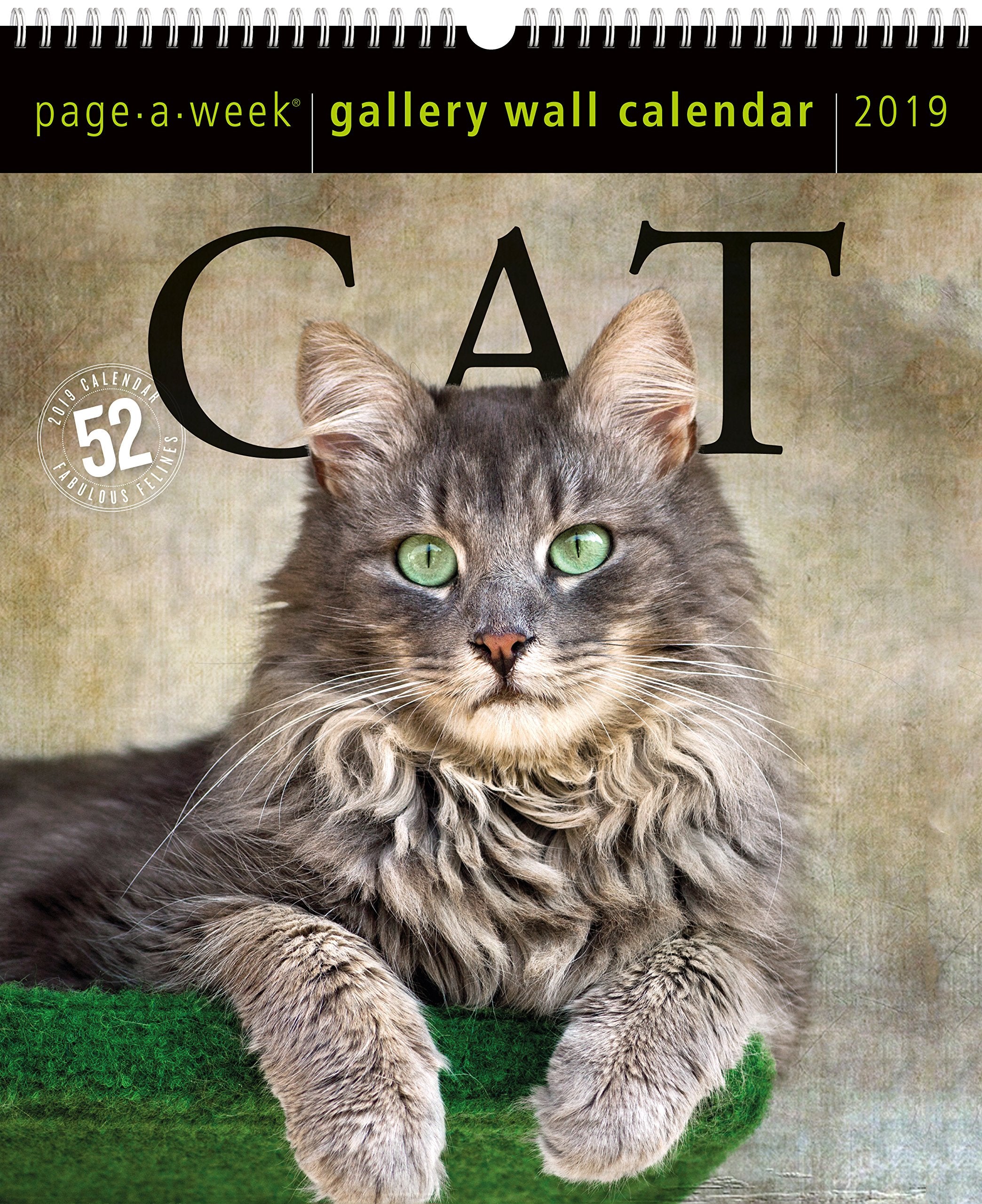Cat PageAWeek Gallery Wall Calendar 2019,New
