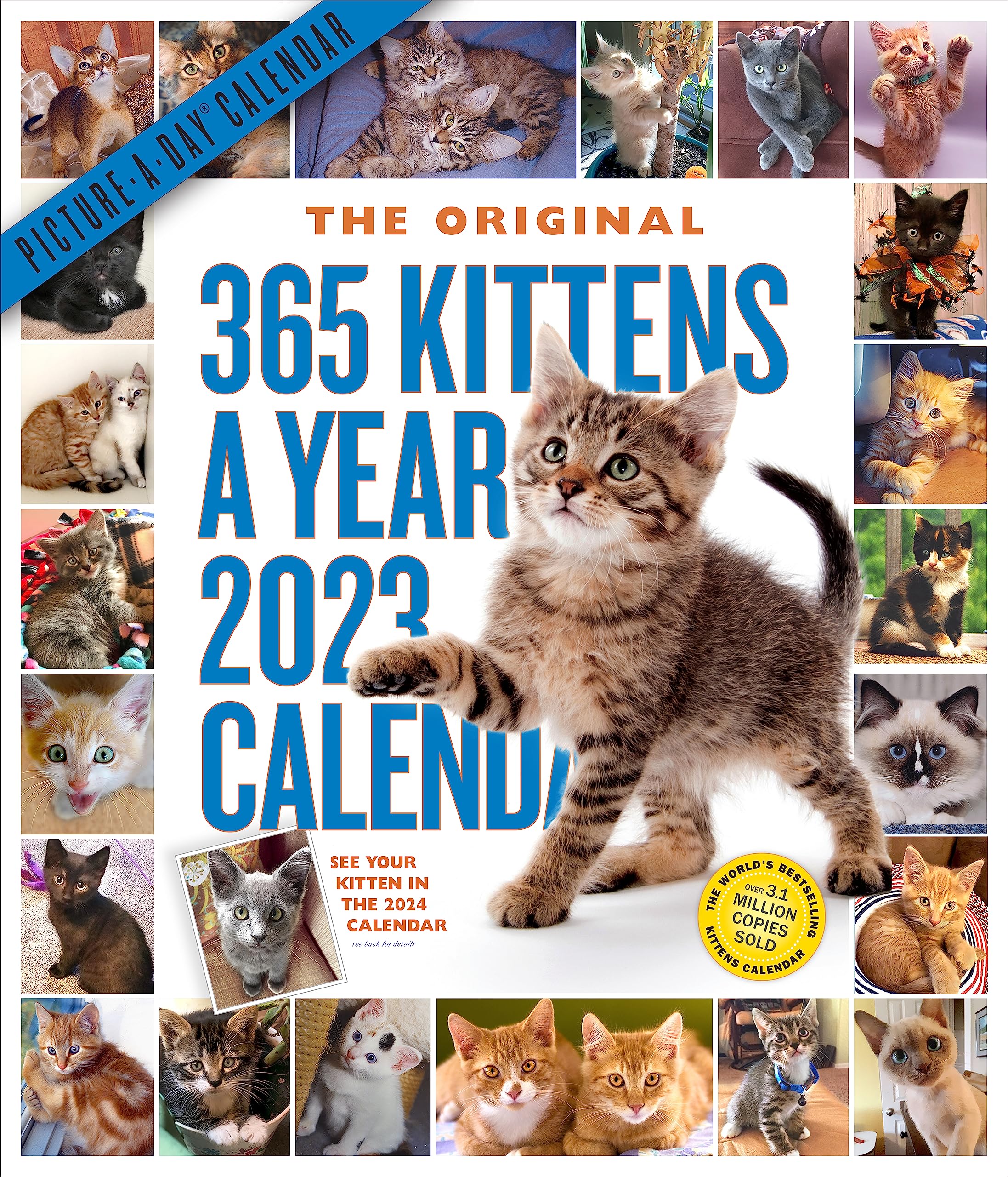 365 Kittensayear Pictureaday Wall Calendar 2023: Absolutely Spilling Over With Kittens