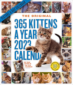365 Kittensayear Pictureaday Wall Calendar 2023: Absolutely Spilling Over With Kittens