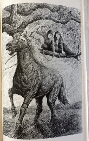Little Arliss,Used