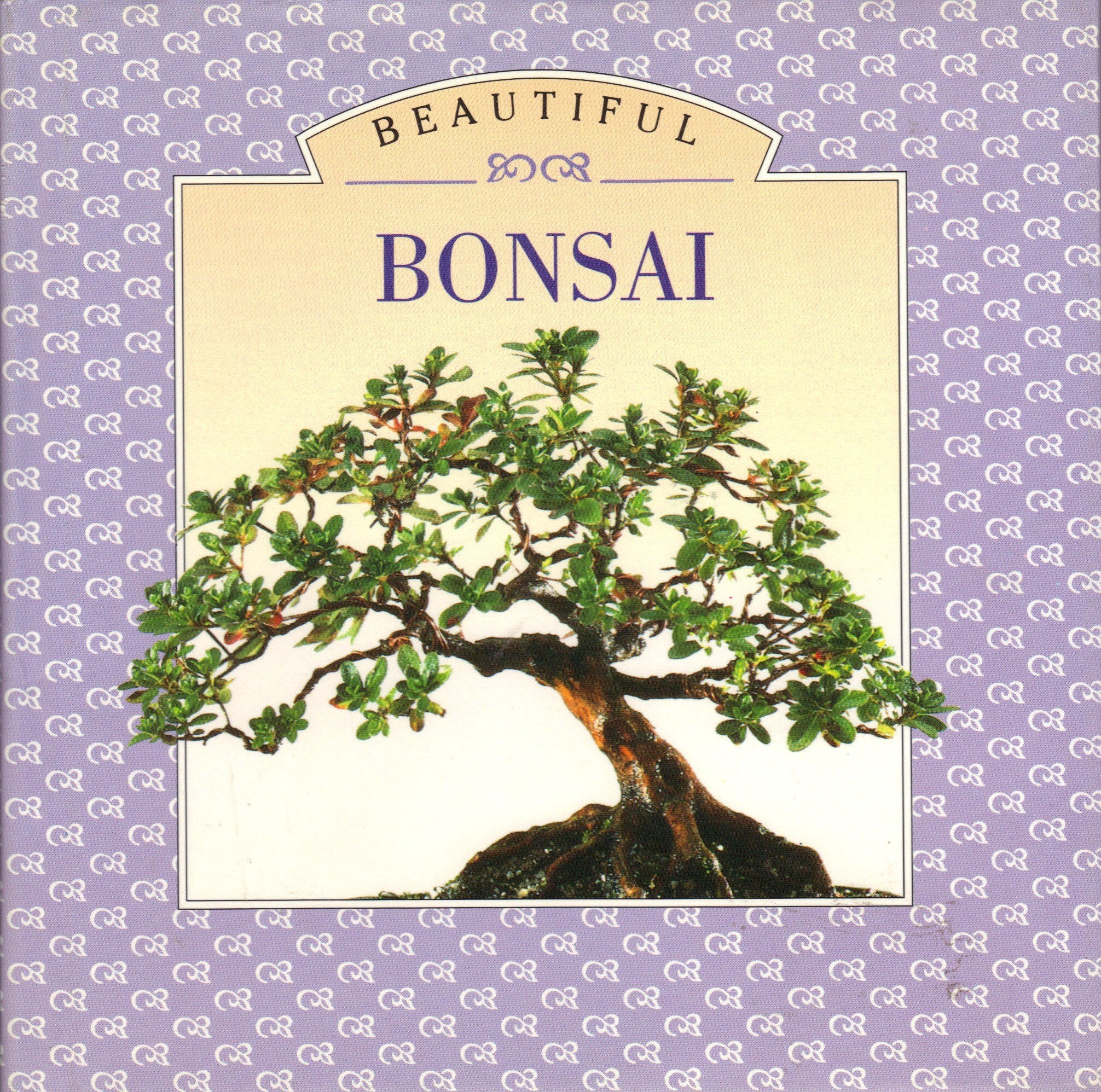 Little Book of Beautiful Bonsai,Used