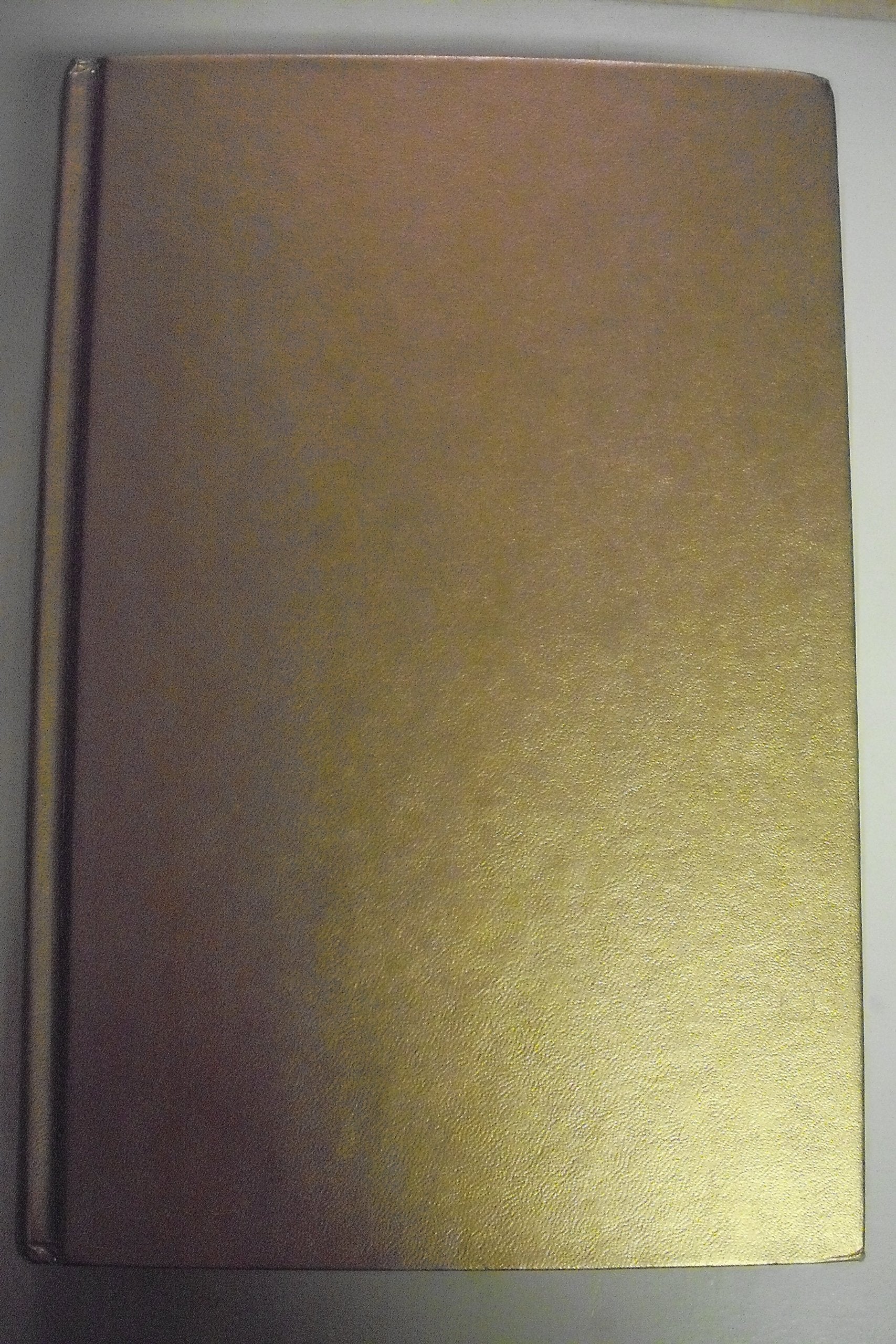 The Rain Maiden: A Novel,Used