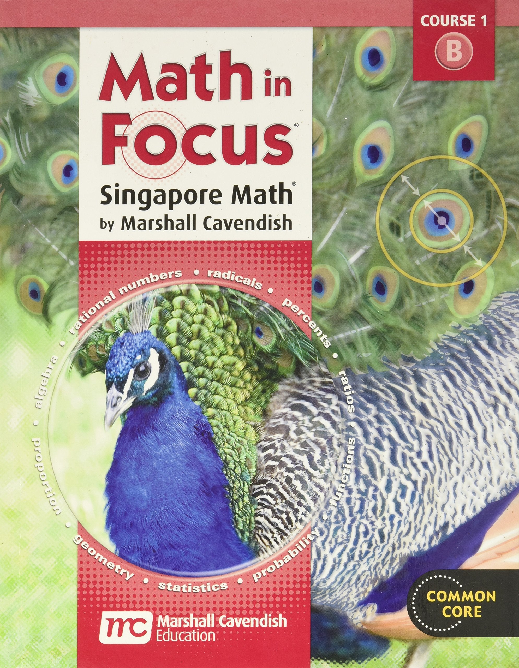 Student Edition 2012: Volume B (Math in Focus: Singapore Math),Used