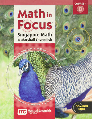 Student Edition 2012: Volume B (Math in Focus: Singapore Math),Used