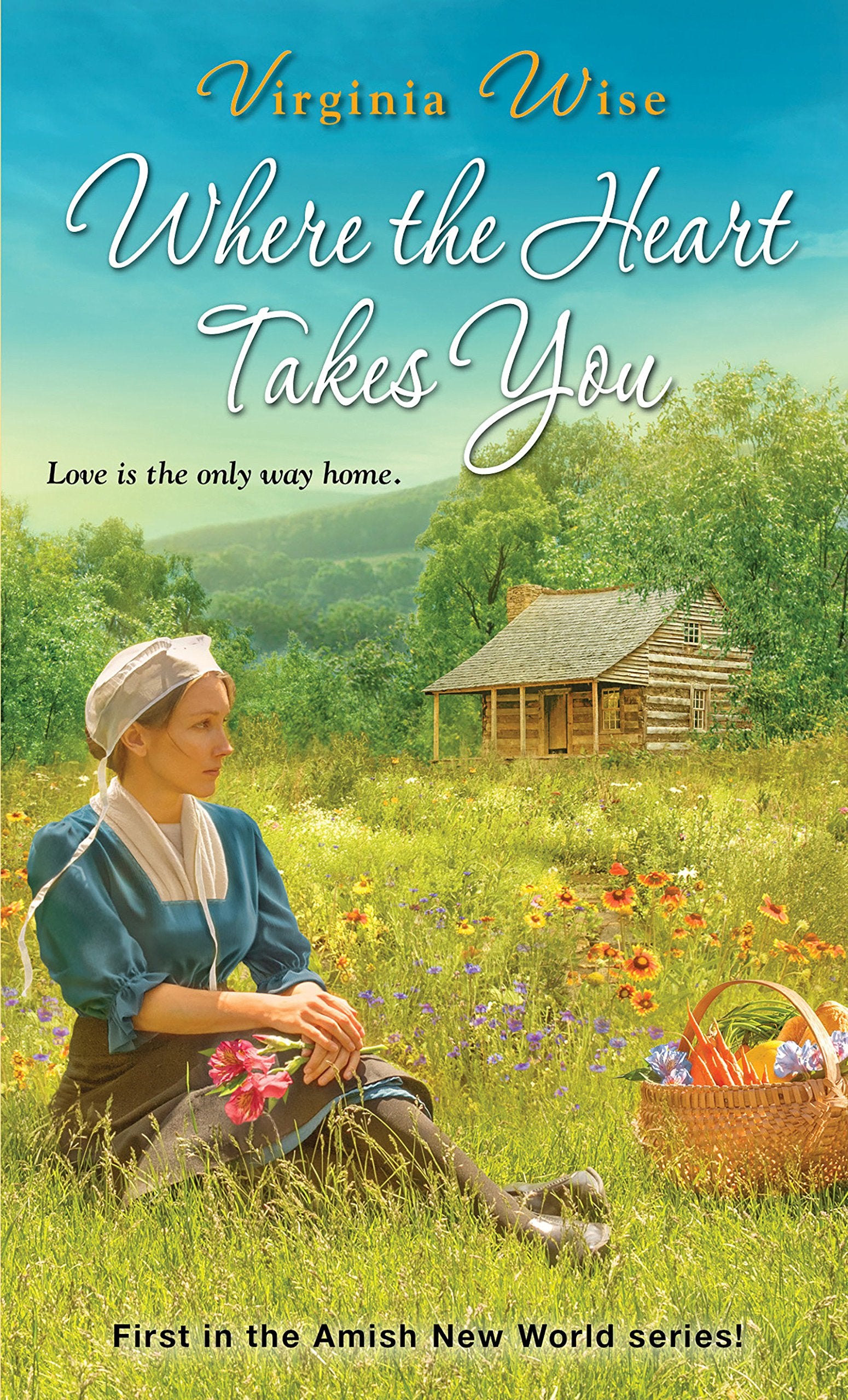 Where the Heart Takes You (Amish New World),Used