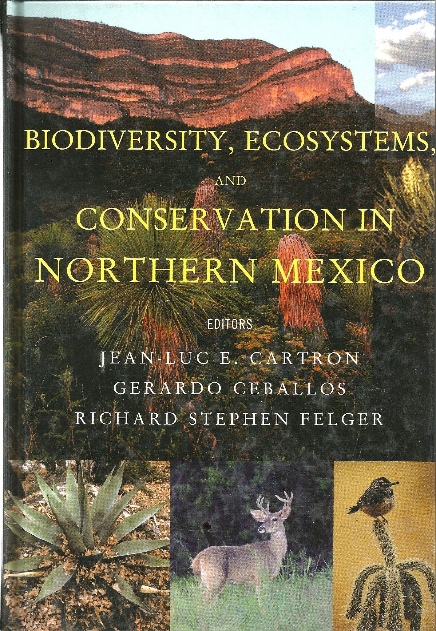 Biodiversity, Ecosystems, And Conservation In Northern Mexico,Used