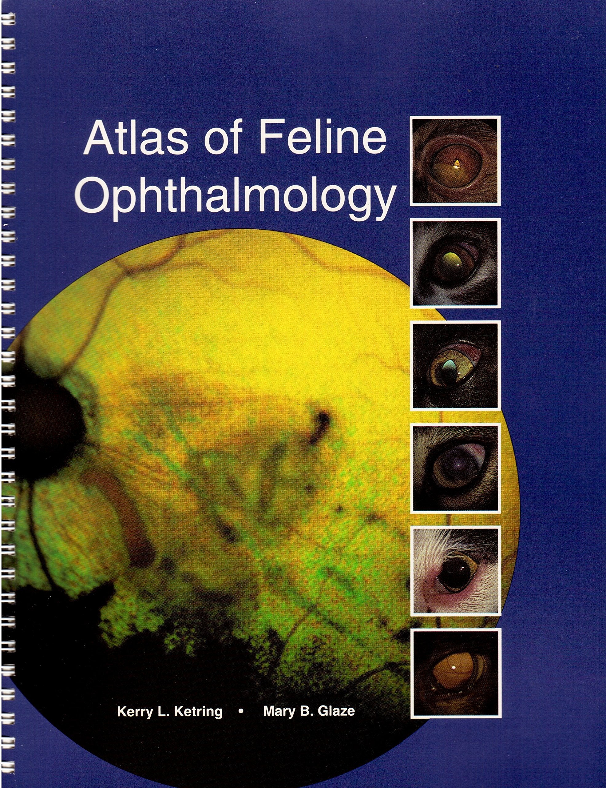 Atlas of Feline Ophthalmology,Used