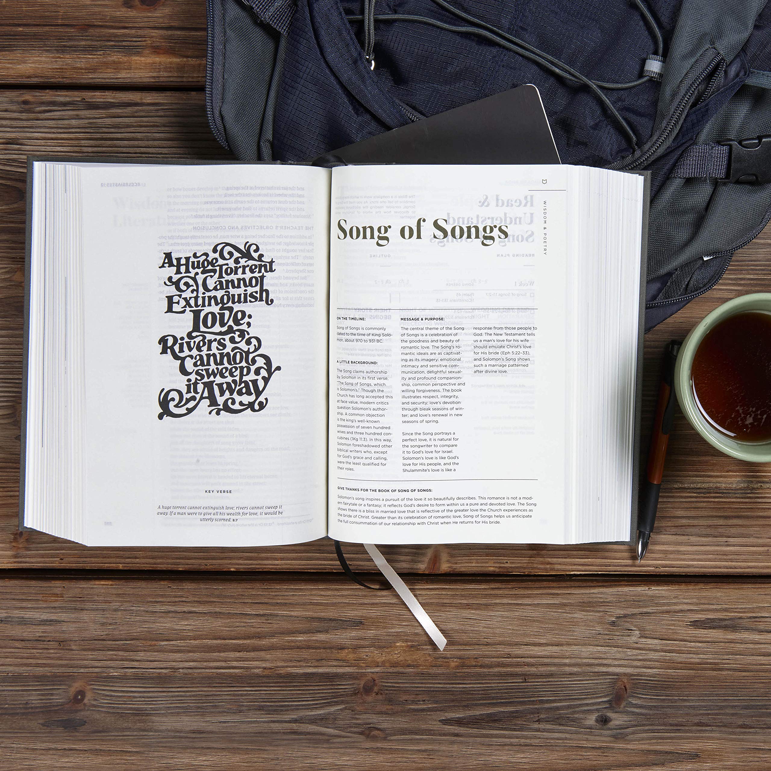 CSB He Reads Truth Bible, Charcoal Cloth Over Board, Black Letter, Wide Margins, Journaling Space, Illustrations, Reading Plans,,Used