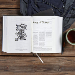 CSB He Reads Truth Bible, Charcoal Cloth Over Board, Black Letter, Wide Margins, Journaling Space, Illustrations, Reading Plans,,Used