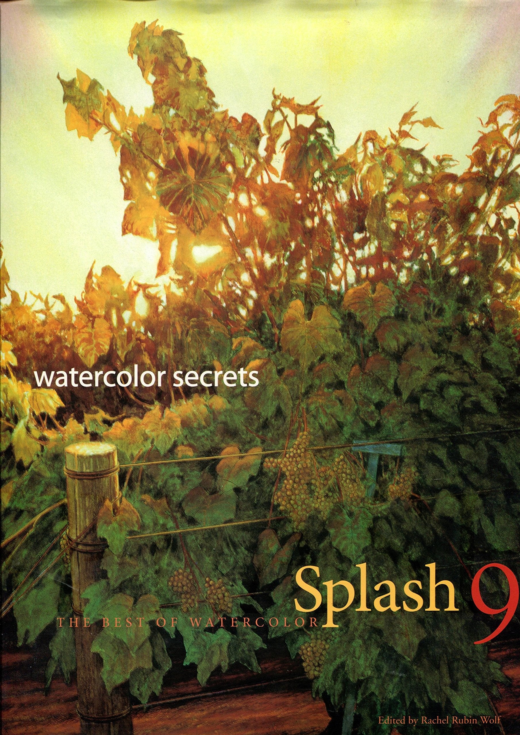 Splash 9: Watercolor Secrets: the Best of Watercolor,Used