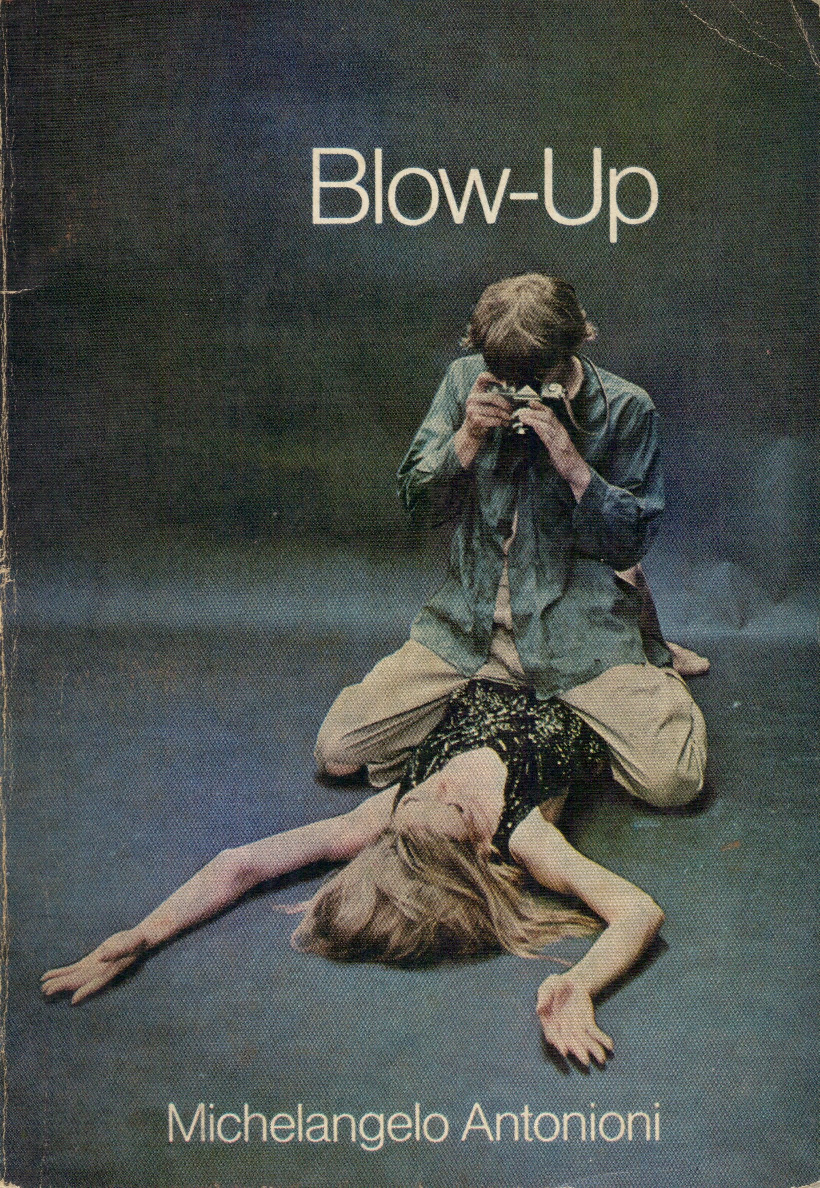 BlowUp: A Film (Modern Film Scripts),Used