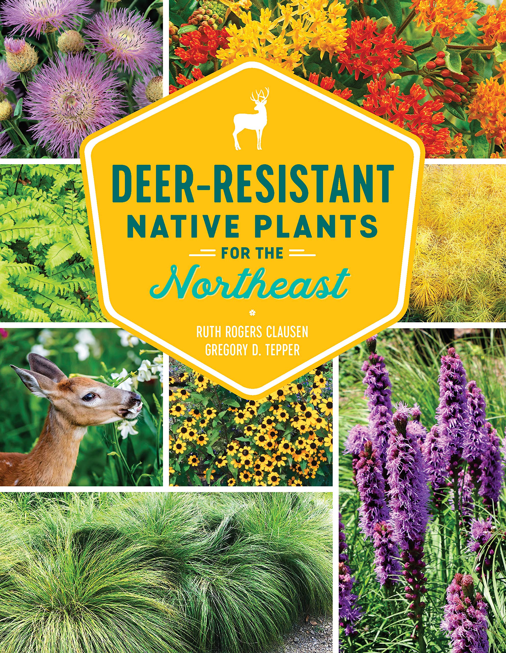 DeerResistant Native Plants for the Northeast,Used