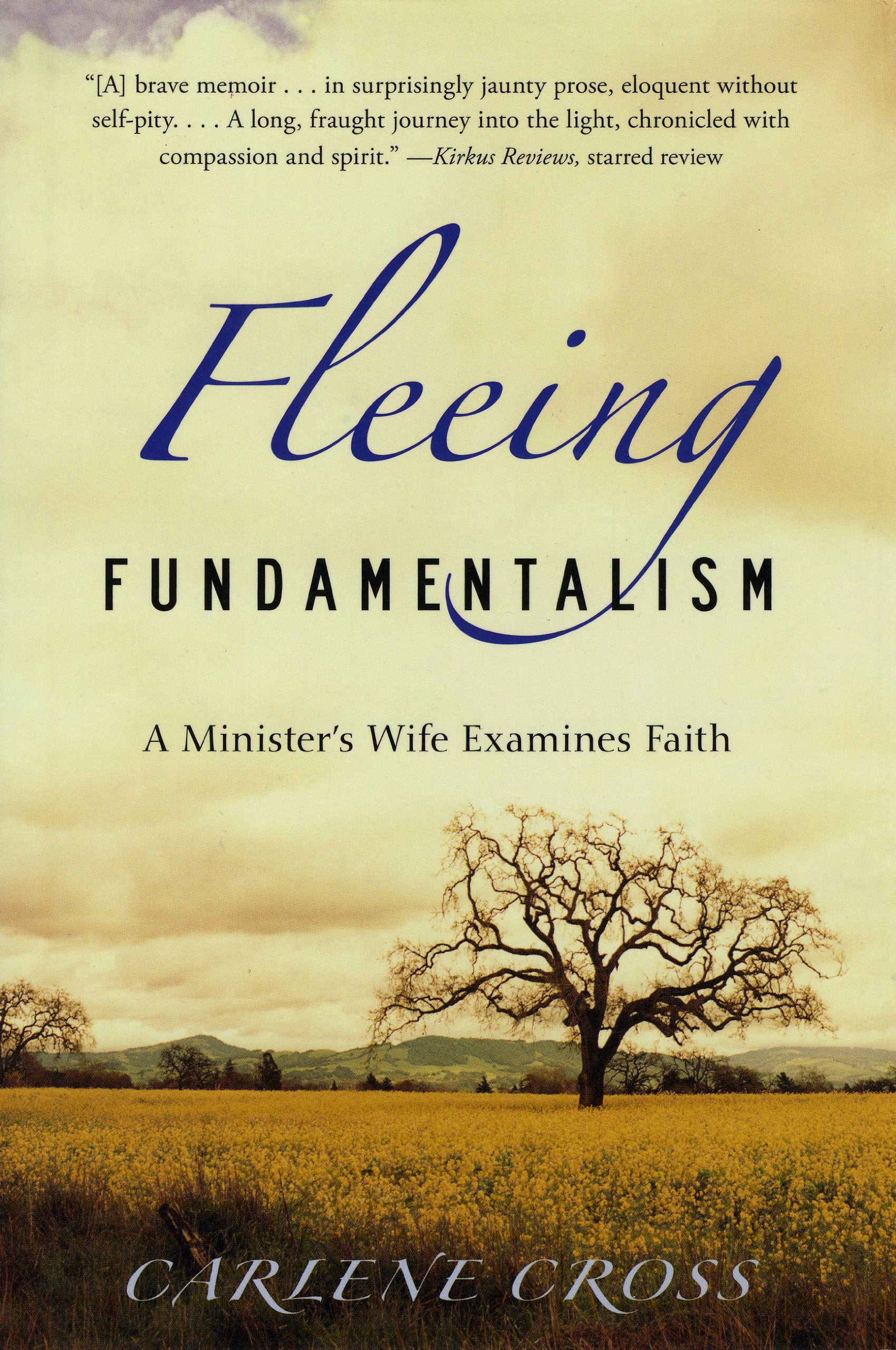 Fleeing Fundamentalism: A Minister's Wife Examines Faith,Used