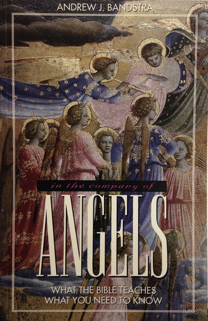 In the Company of Angels: What the Bible Teaches What You Need to Know,New