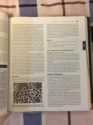Brock Biology Of Microorganisms (14Th Edition),Used