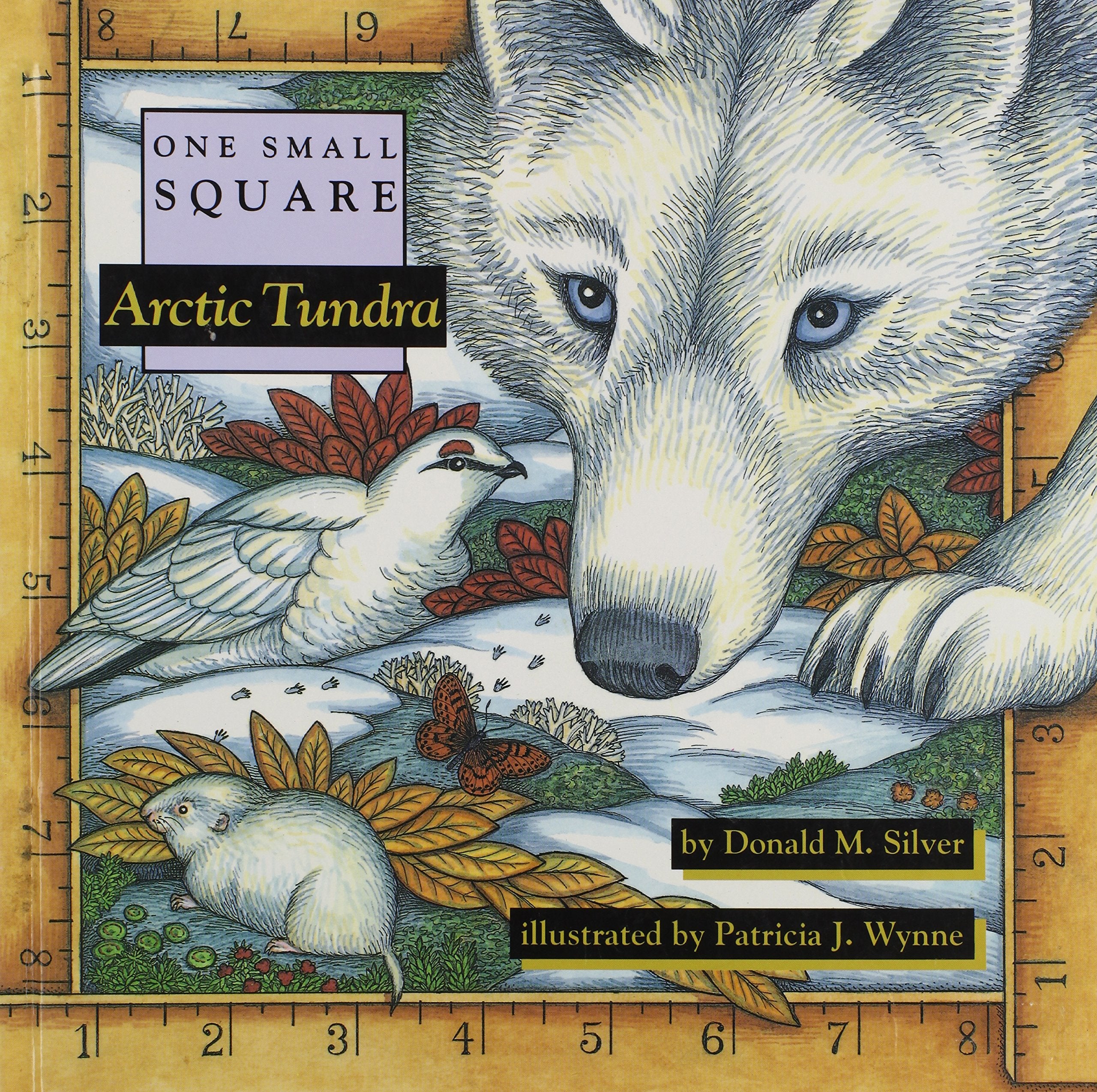 Arctic Tundra (One Small Square),Used