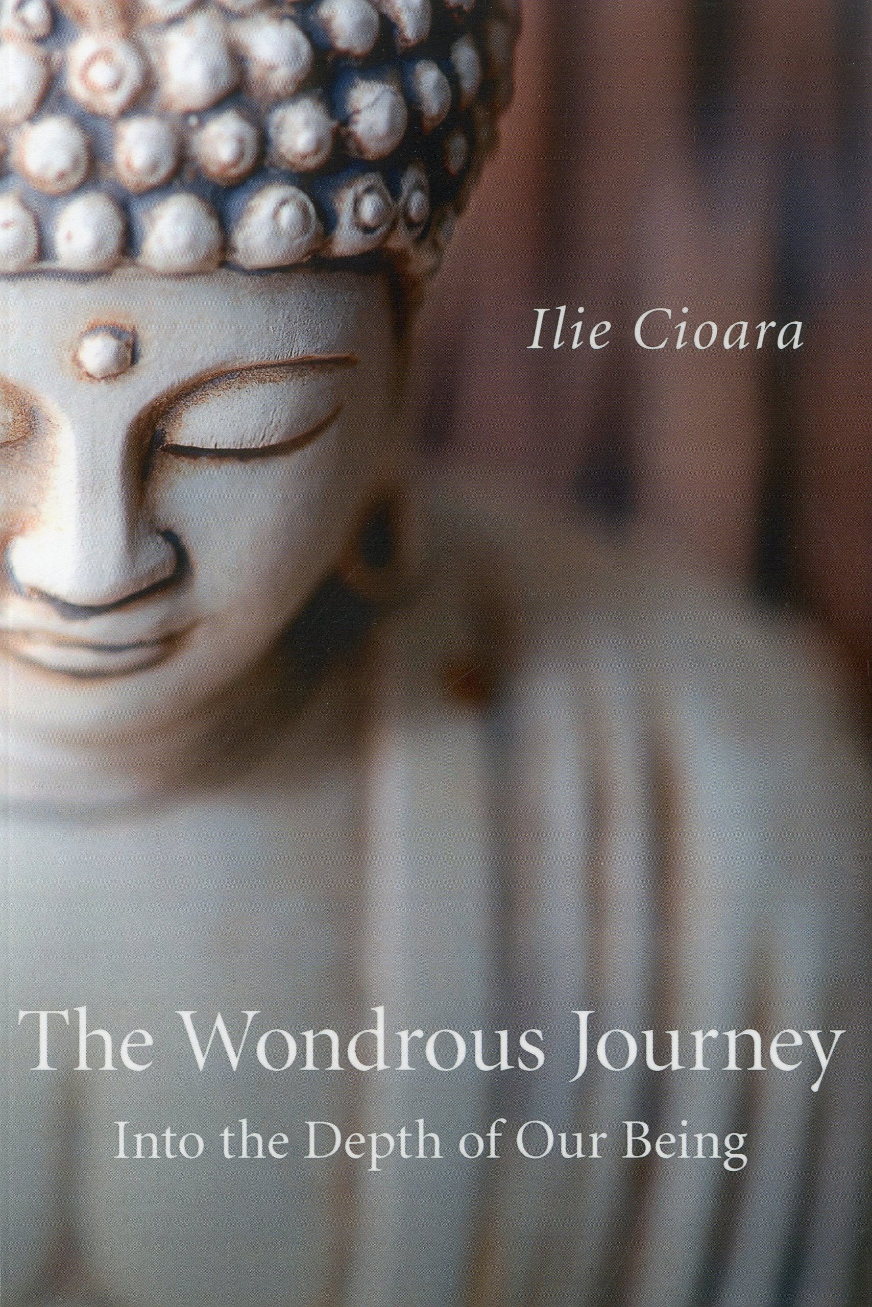 The Wondrous Journey: Into The Depth Of Our Being