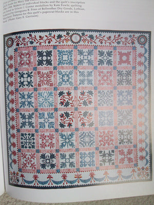 Papercuts and Plenty (Baltimore Beauties and Beyond: Studies in Classic Album Quilt Applique, Vol. 3),New