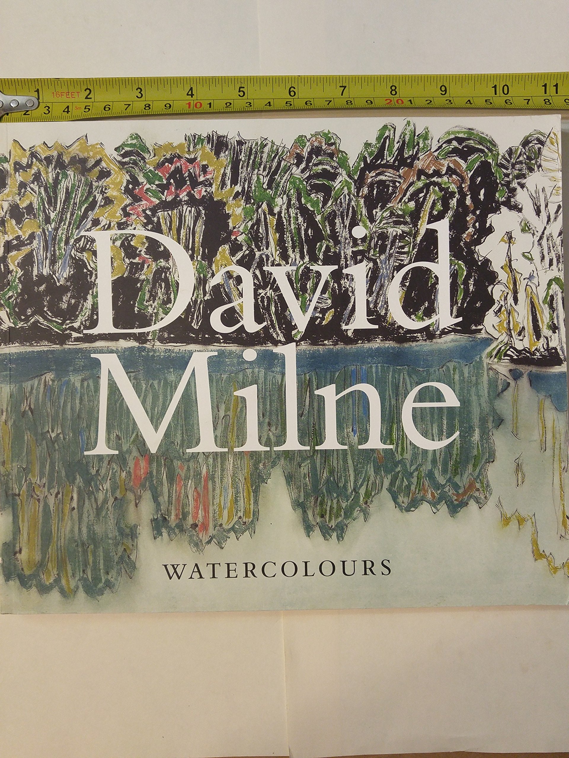 David Milne Watercolours: Painting Towards the Light,Used