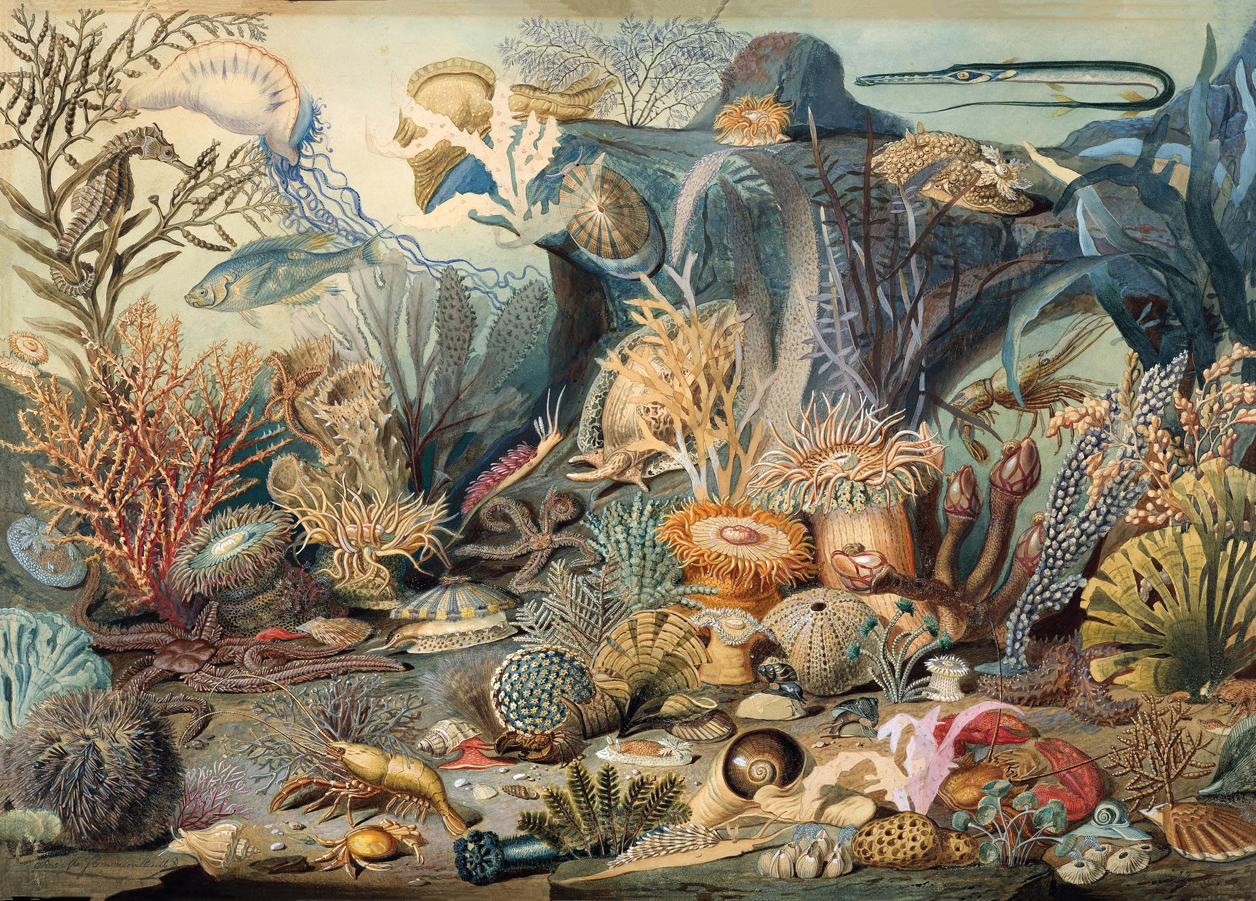 PETER PAUPER PRESS, Inc. Ocean Life 1000 Piece Jigsaw Puzzle,New