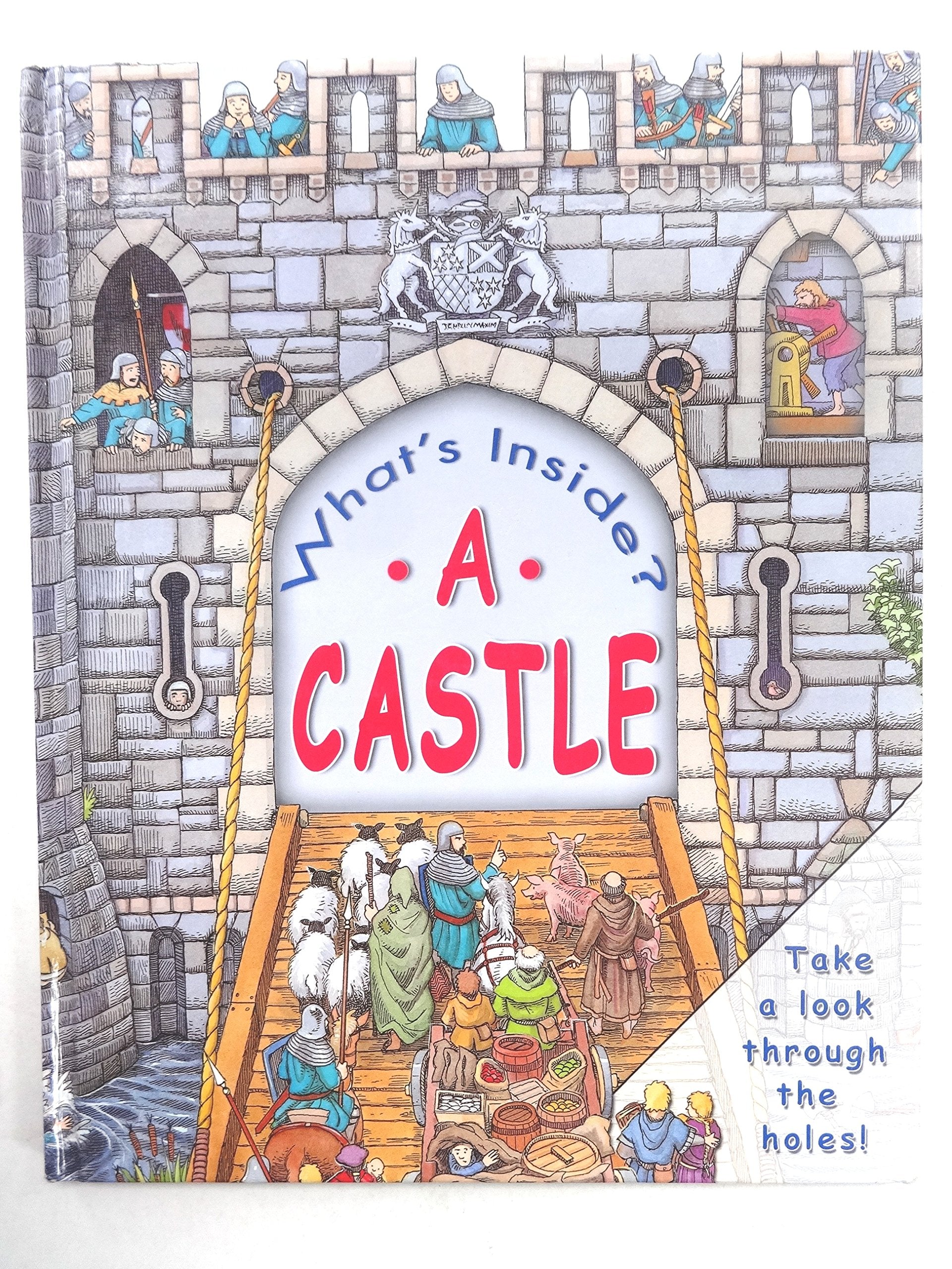 What's Inside a Castle (What's Inside),Used