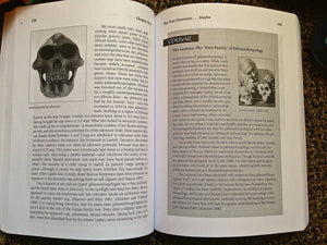 Biocultural Evolution: The Anthropology of Human Prehistory,New