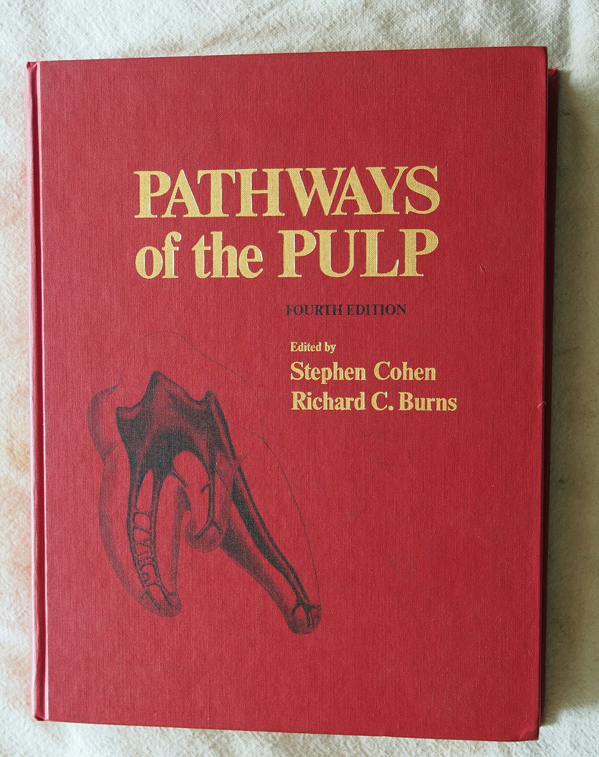 Pathways Of The Pulp