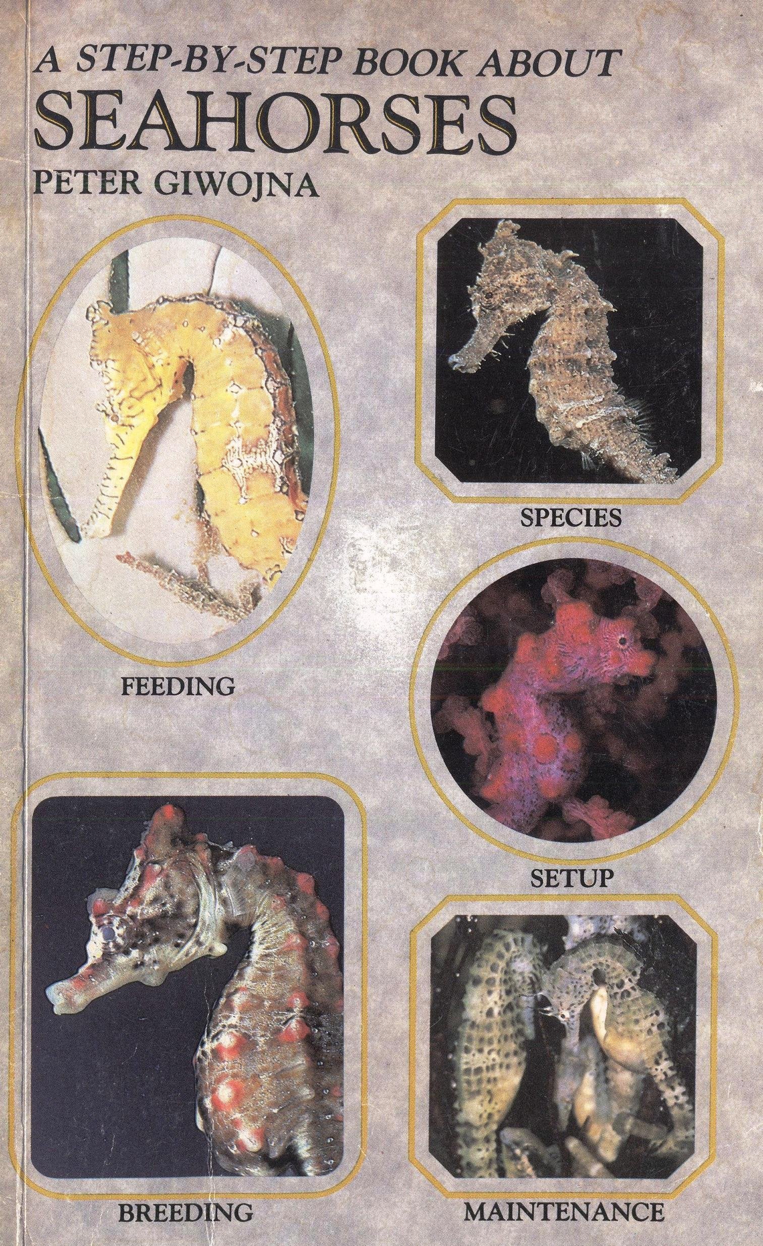 Step by Step Book About Seahorses,Used