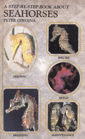Step by Step Book About Seahorses,Used