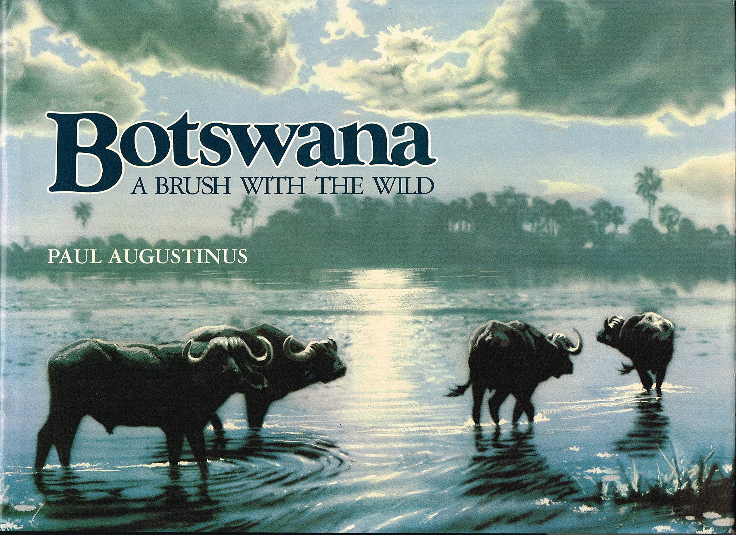 Botswana: A Brush With The Wild-used