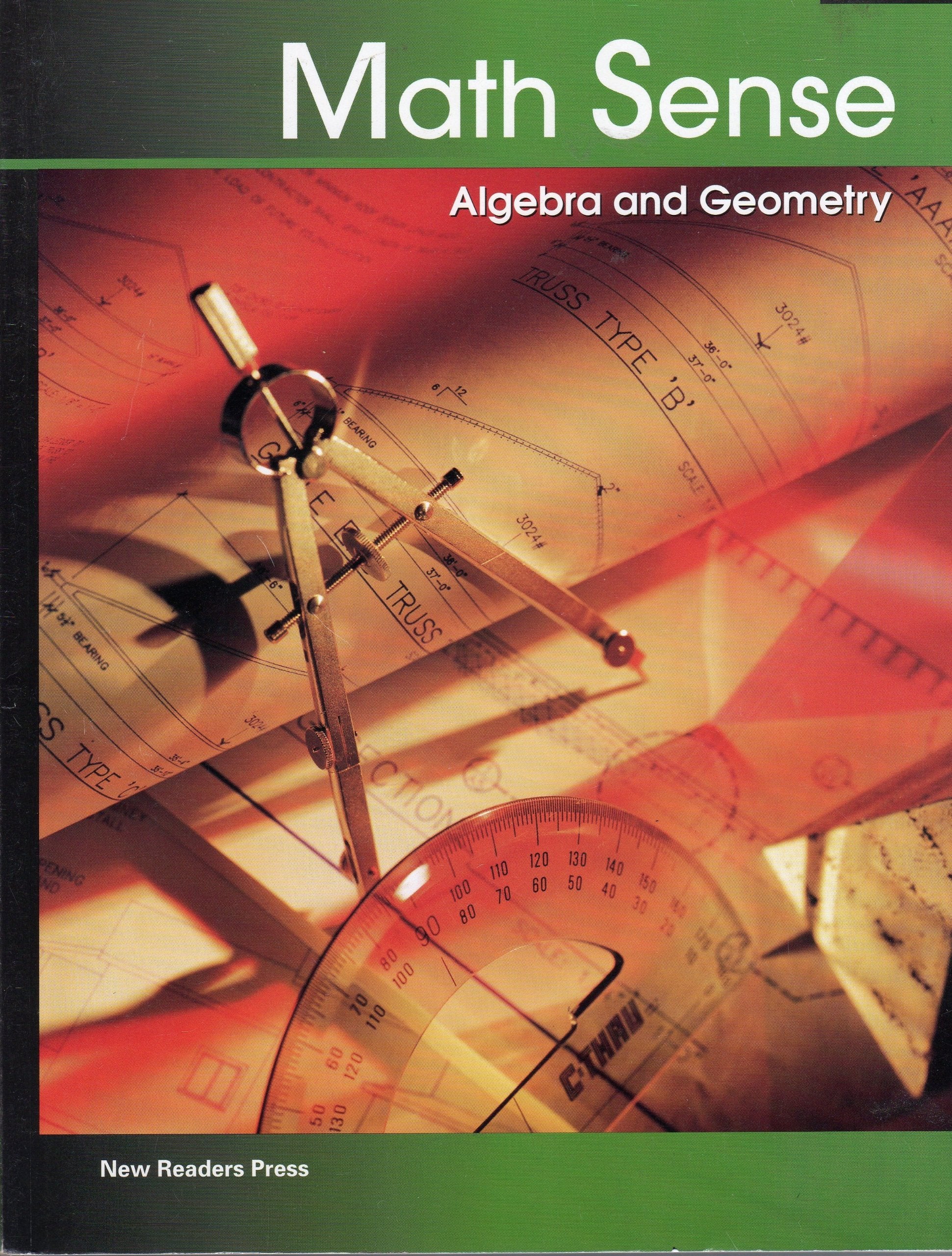 Algebra and Geometry (Math Sense),Used