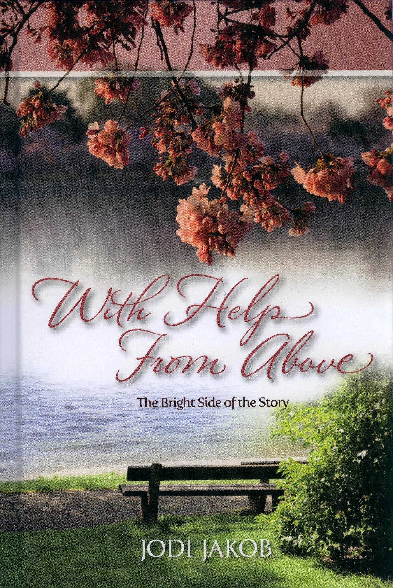 With Help From Above,Used