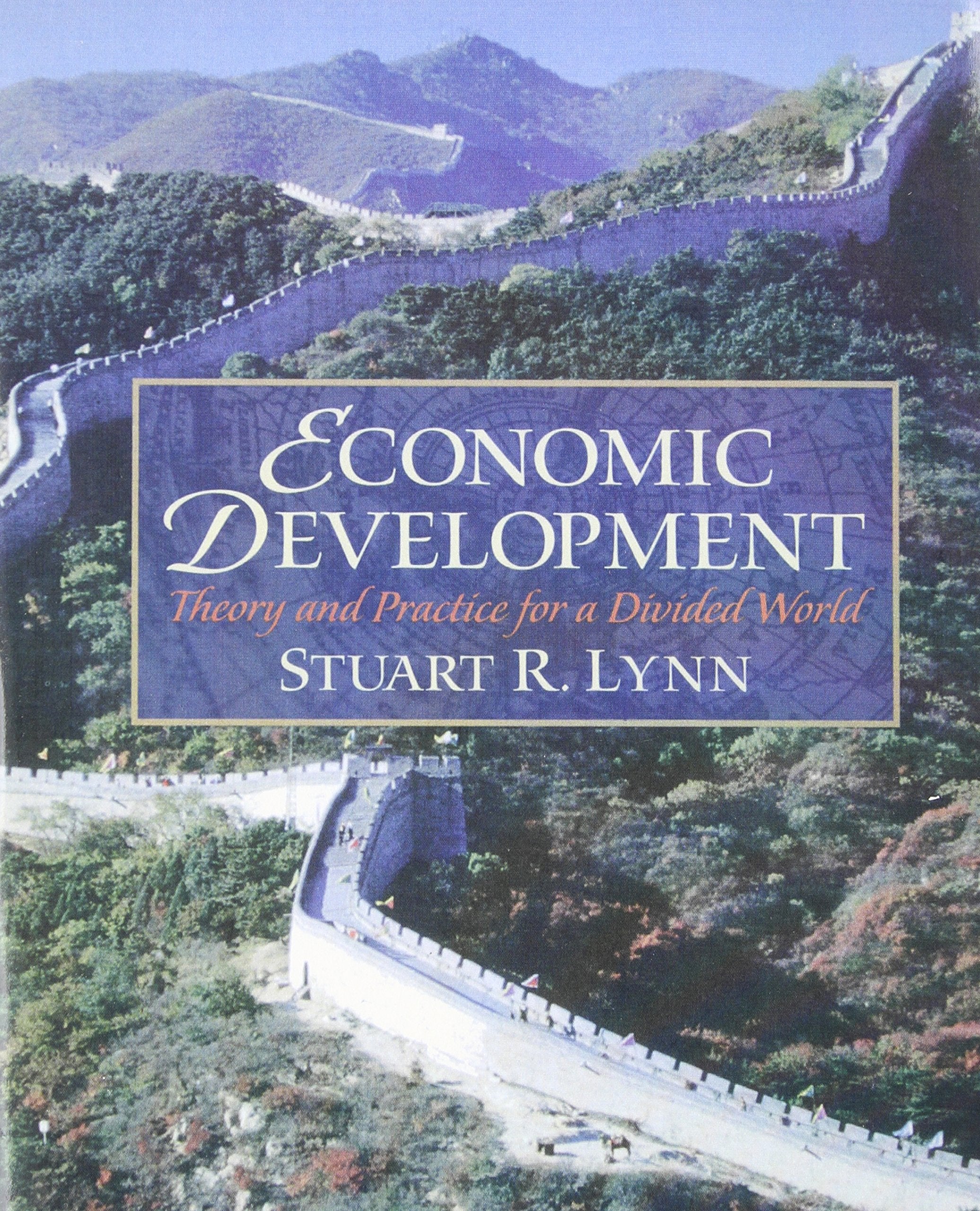 Economic Development: Theory and Practice for a Divided World,Used