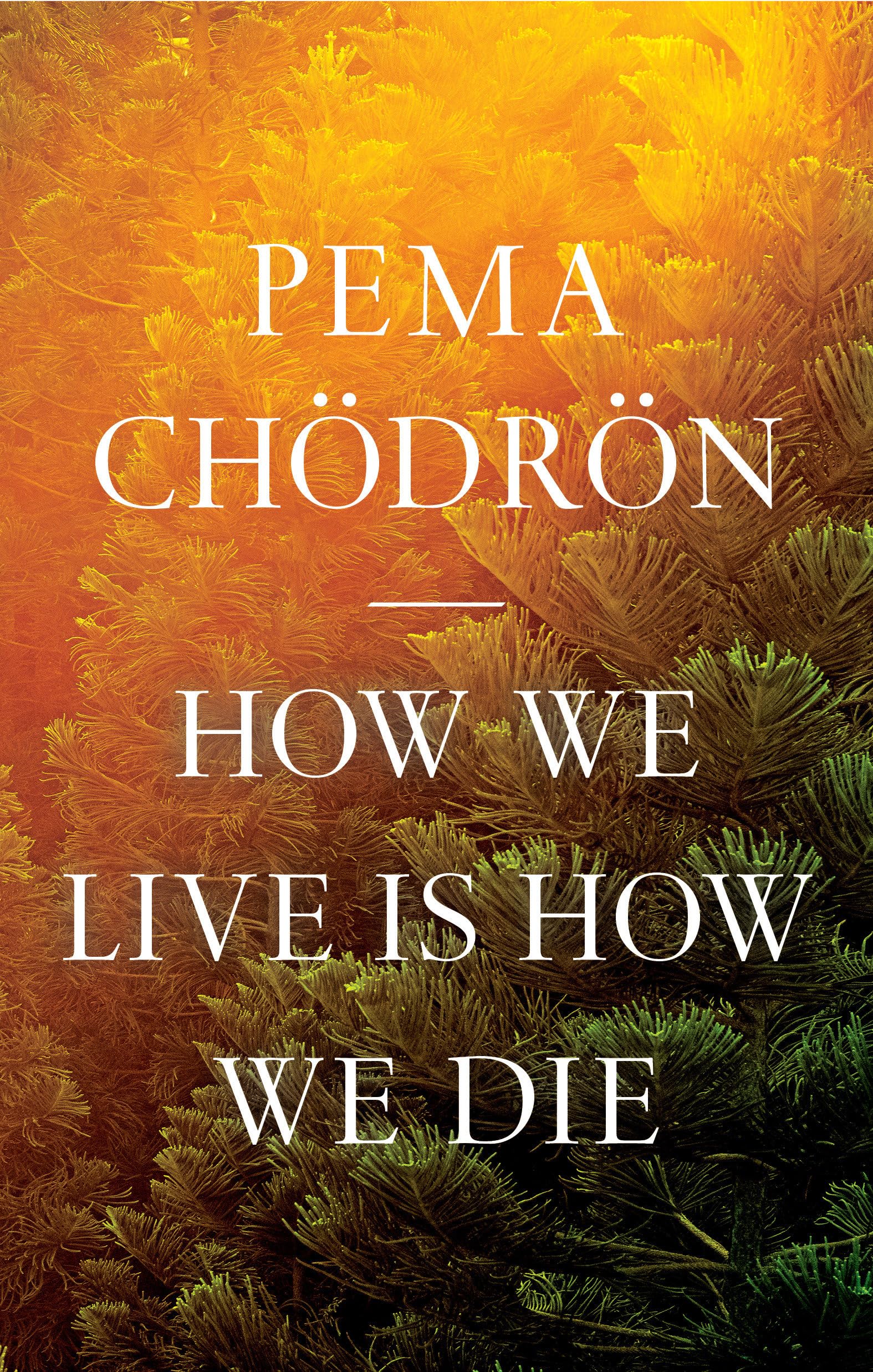 How We Live Is How We Die,Used
