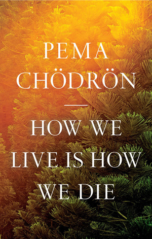 How We Live Is How We Die,Used