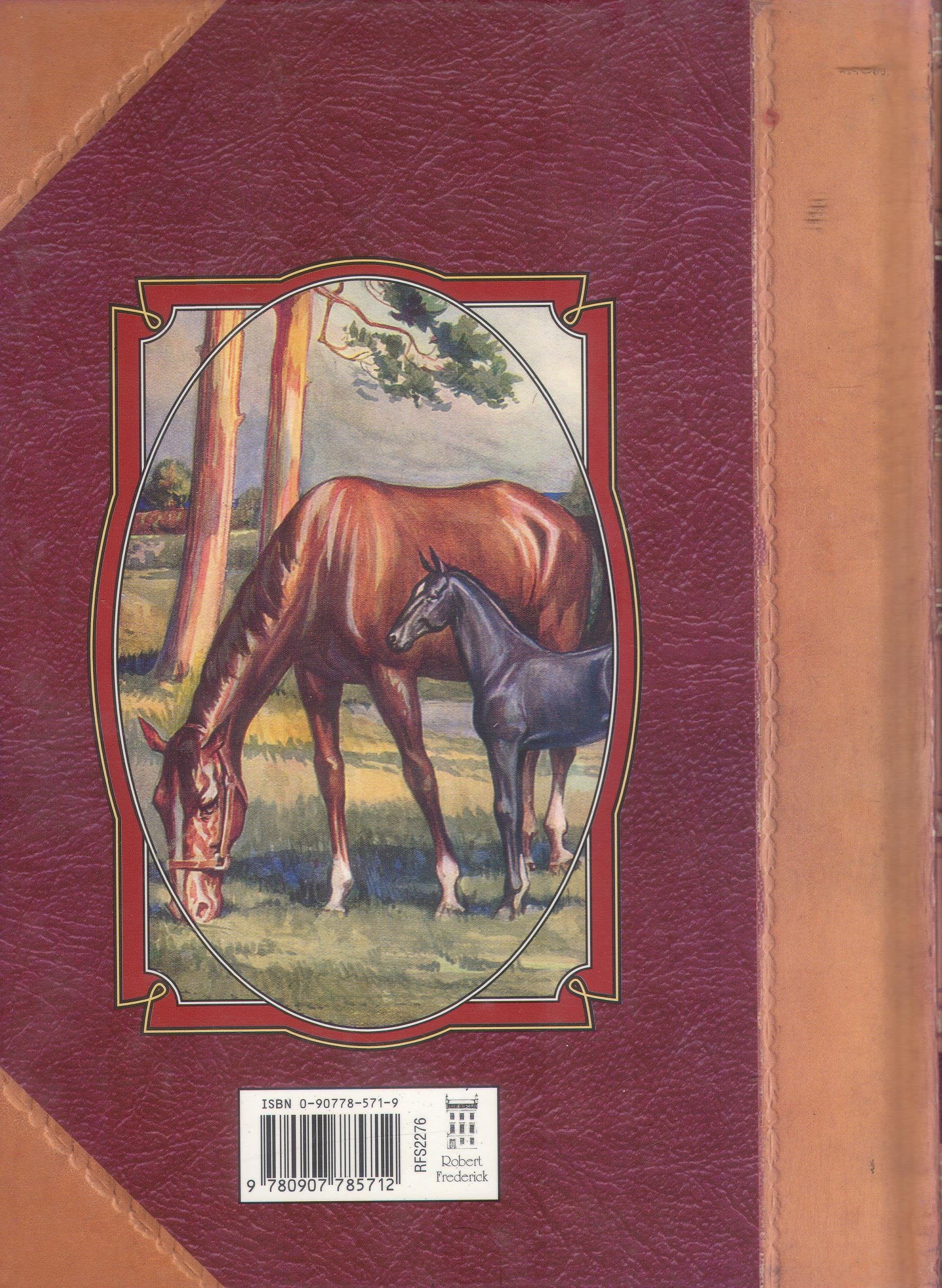 Black Beauty (Youth Literary Classics),Used